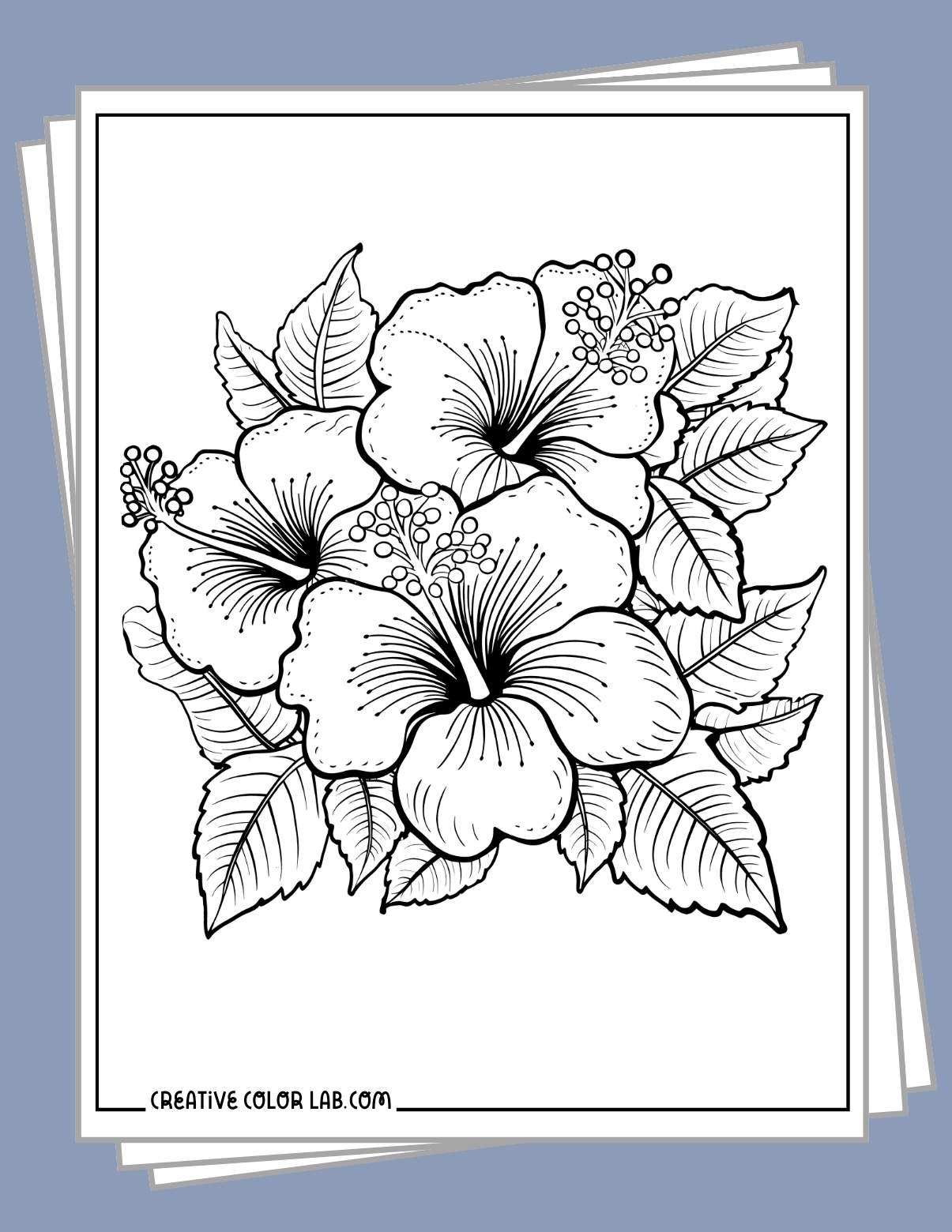 10 Hawaiian Tropical Flower Coloring Pages Free PDF Printables