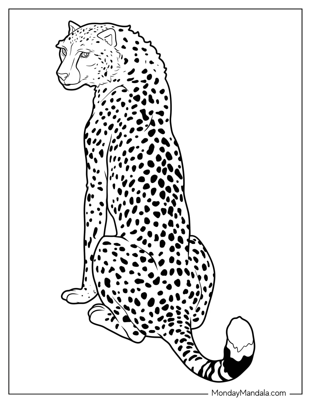 20 Cheetah Coloring Pages Free PDF Printables 