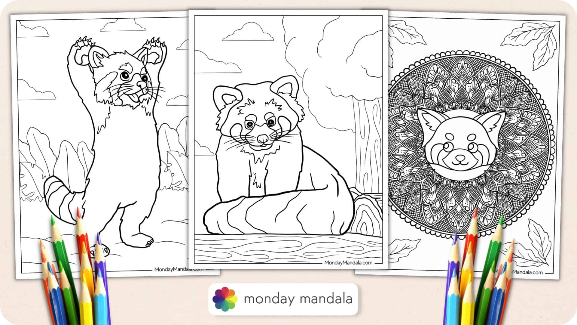 Red Panda Coloring Pages