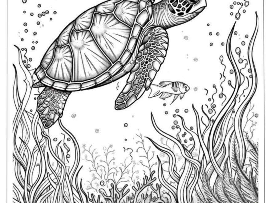 30 Free Printable Turtle Coloring Pages Artsydee Drawing Painting Craft Creativity