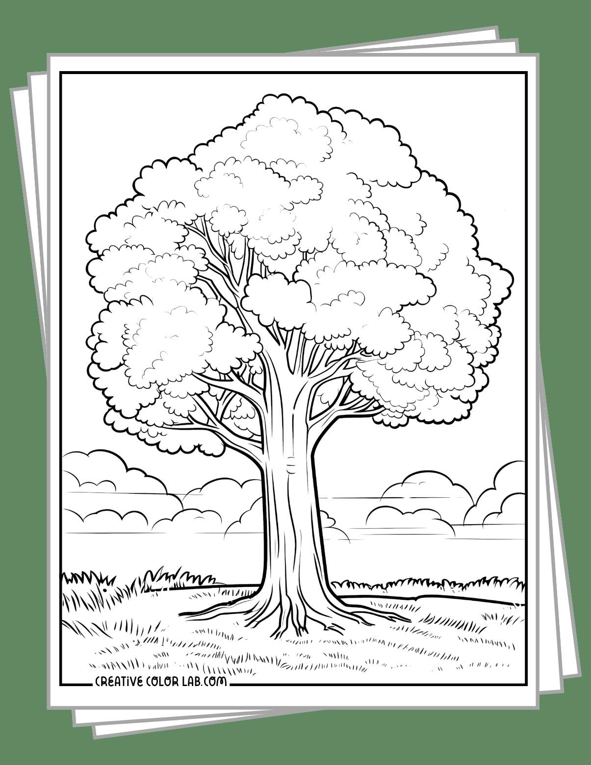 36 Coloring Pages Of Trees Free PDF Printables 36 Coloring Pages Of Trees Free PDF Printables