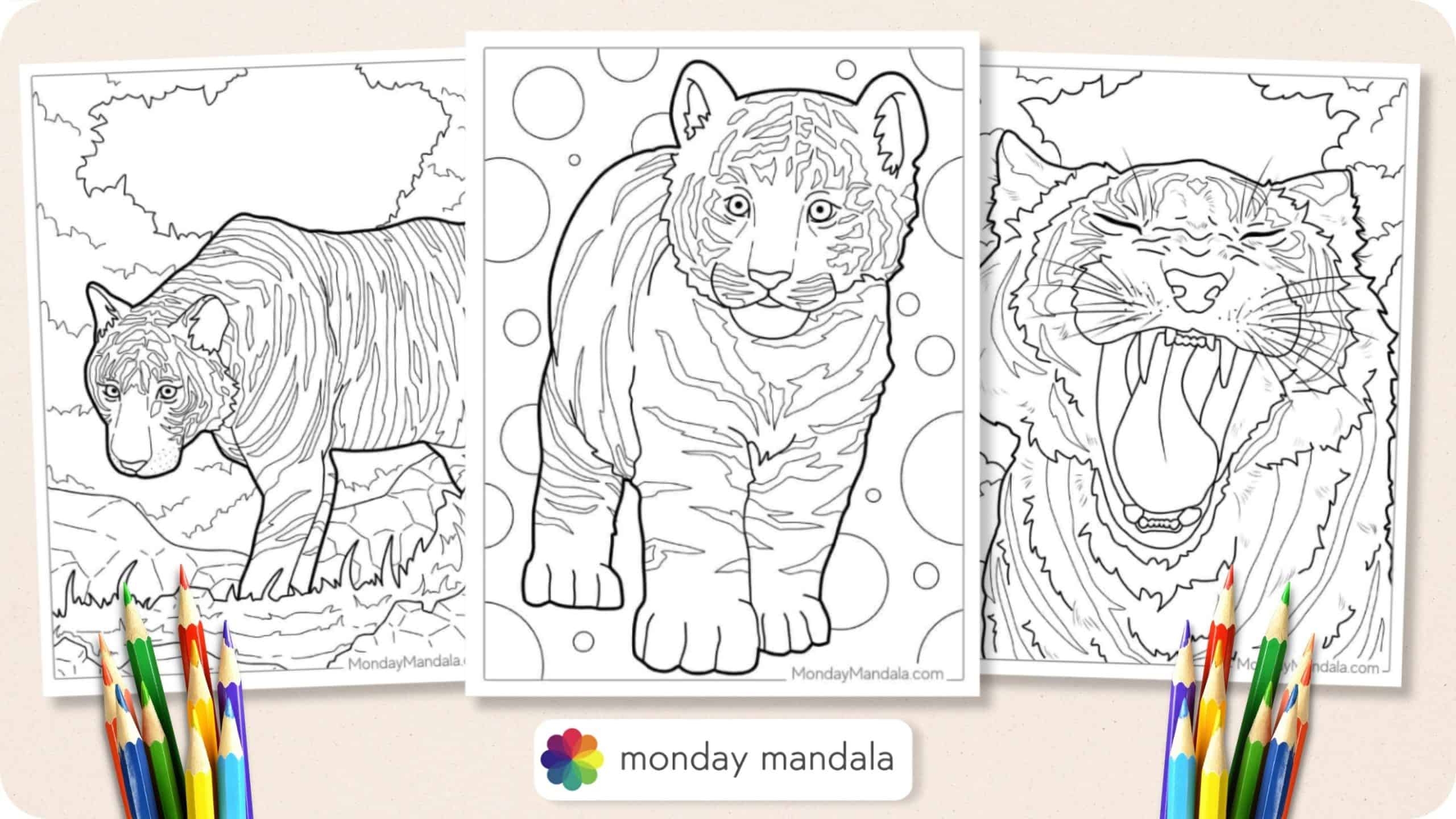 40 Tiger Coloring Pages Free PDF Printables 40 Tiger Coloring Pages Free PDF Printables