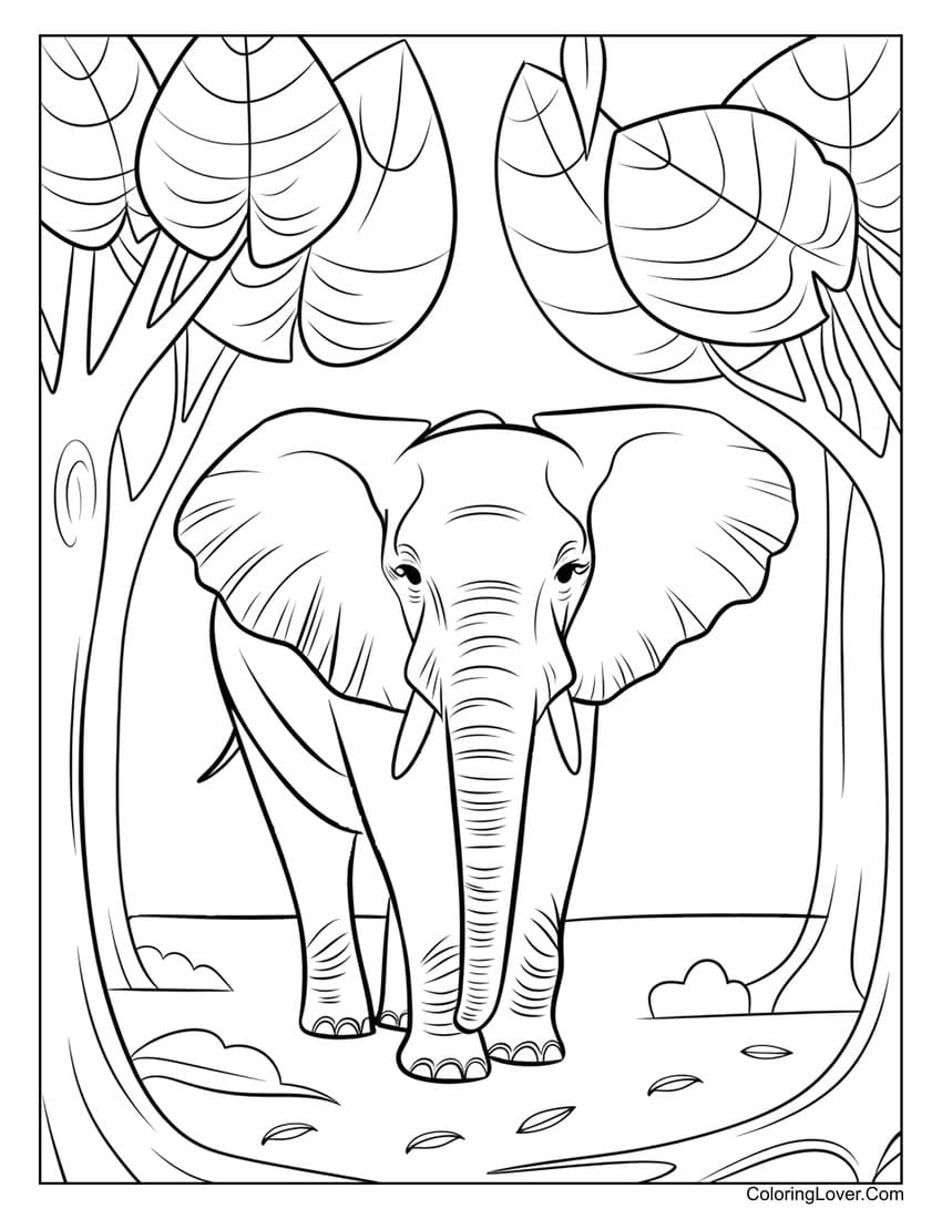 42 Elephant Coloring Pages Free Printables For All Ages 42 Elephant Coloring Pages Free Printables For All Ages