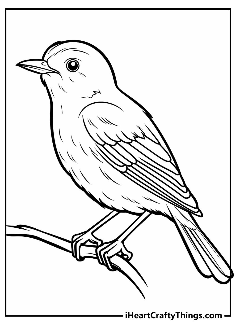 44 Bird Coloring Pages 100 Free Printables 