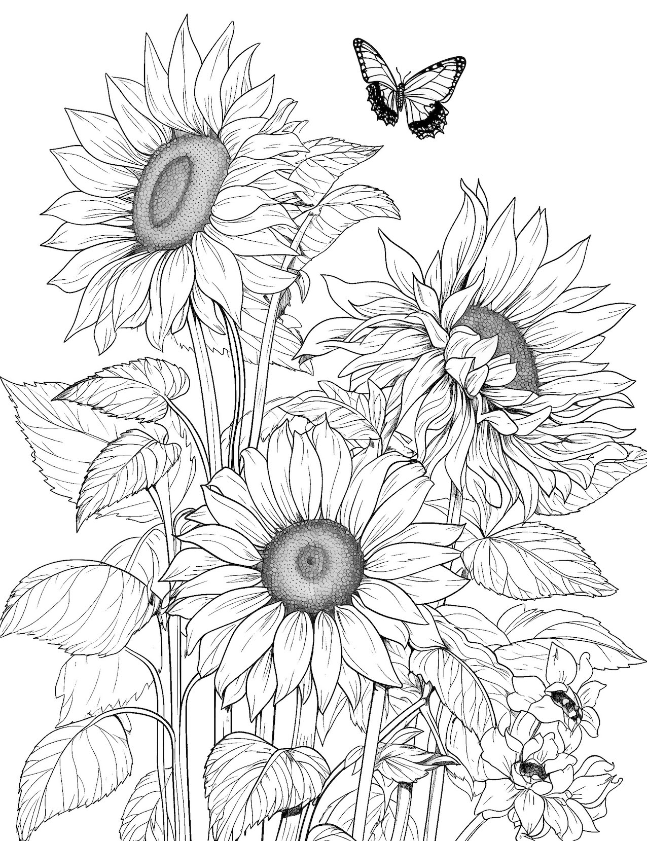 47 Sunflower Coloring Pages Free Printable Our Mindful Life 47 Sunflower Coloring Pages Free Printable Our Mindful Life