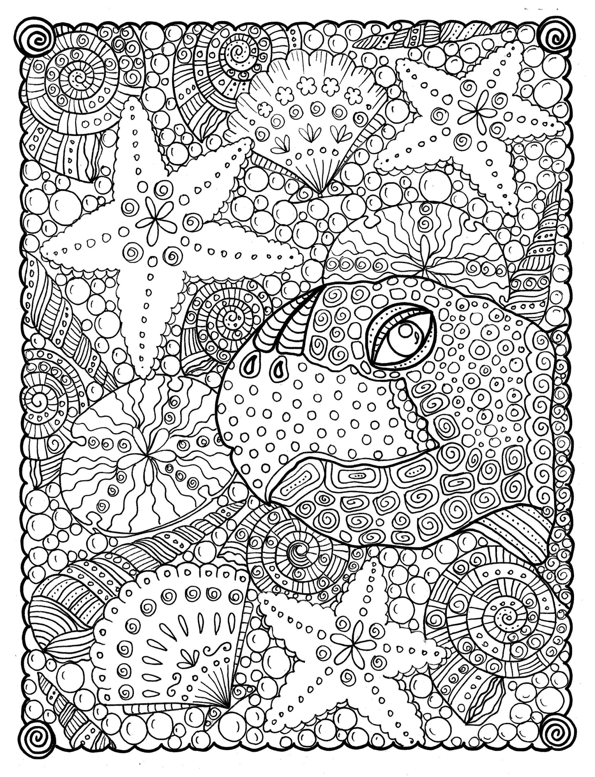 Adult Coloring Pages Not Mandala Turtle Adult Coloring Pages Not Mandala Turtle
