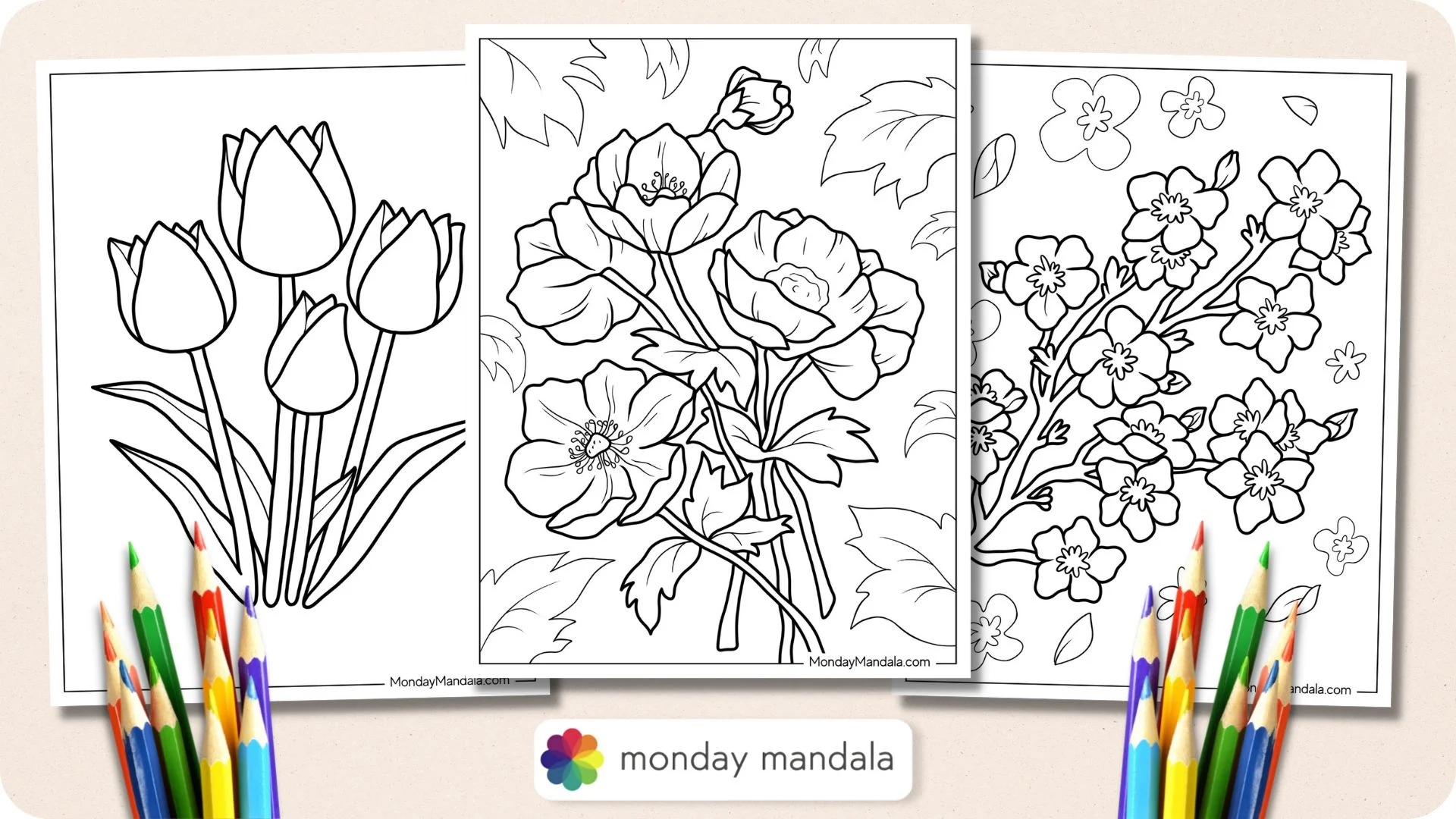 53 Flower Coloring Pages Free PDF Printables 