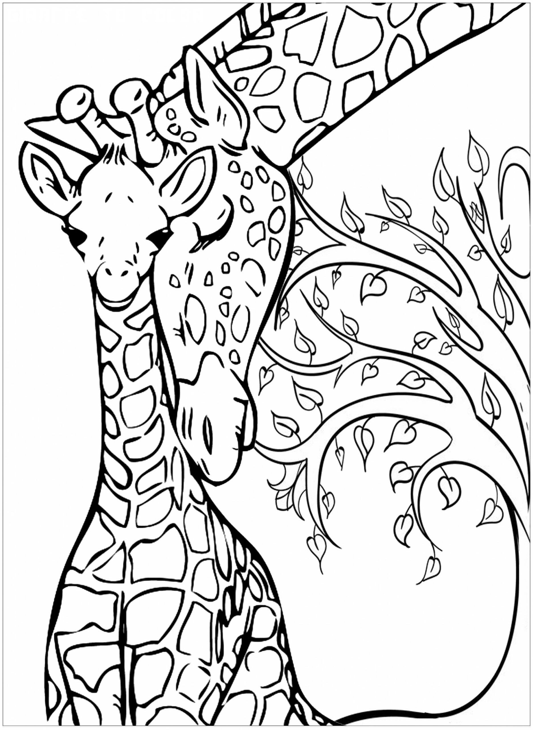 7 Giraffe To Color