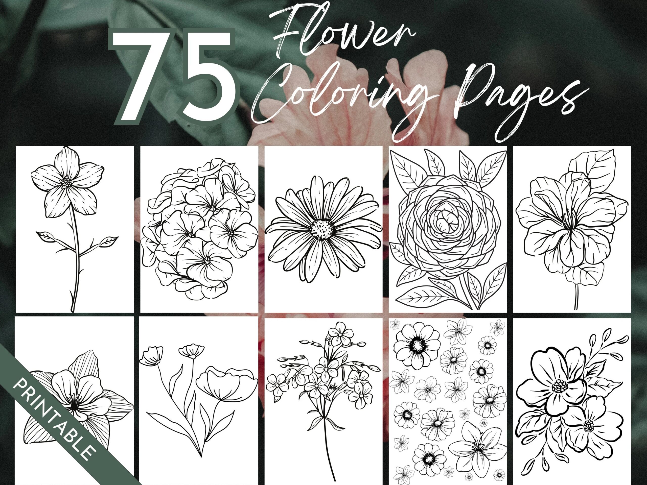 75 Flower Coloring Pages Printable Instant Digital Download Coloring Book For Adult Coloring Coloring Sheets Etsy 75 Flower Coloring Pages Printable Instant Digital Download Coloring Book For Adult Coloring Coloring Sheets Etsy
