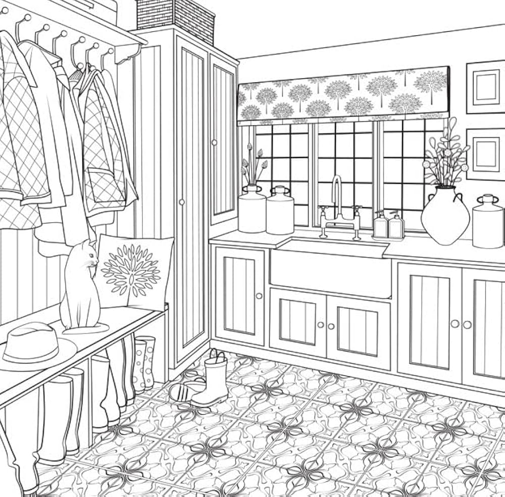 Amazon Dream Home Modern Farmhouse An Interior Design Coloring Book 9781250279804 Carroll Chellie Books Amazon Dream Home Modern Farmhouse An Interior Design Coloring Book 9781250279804 Carroll Chellie Books