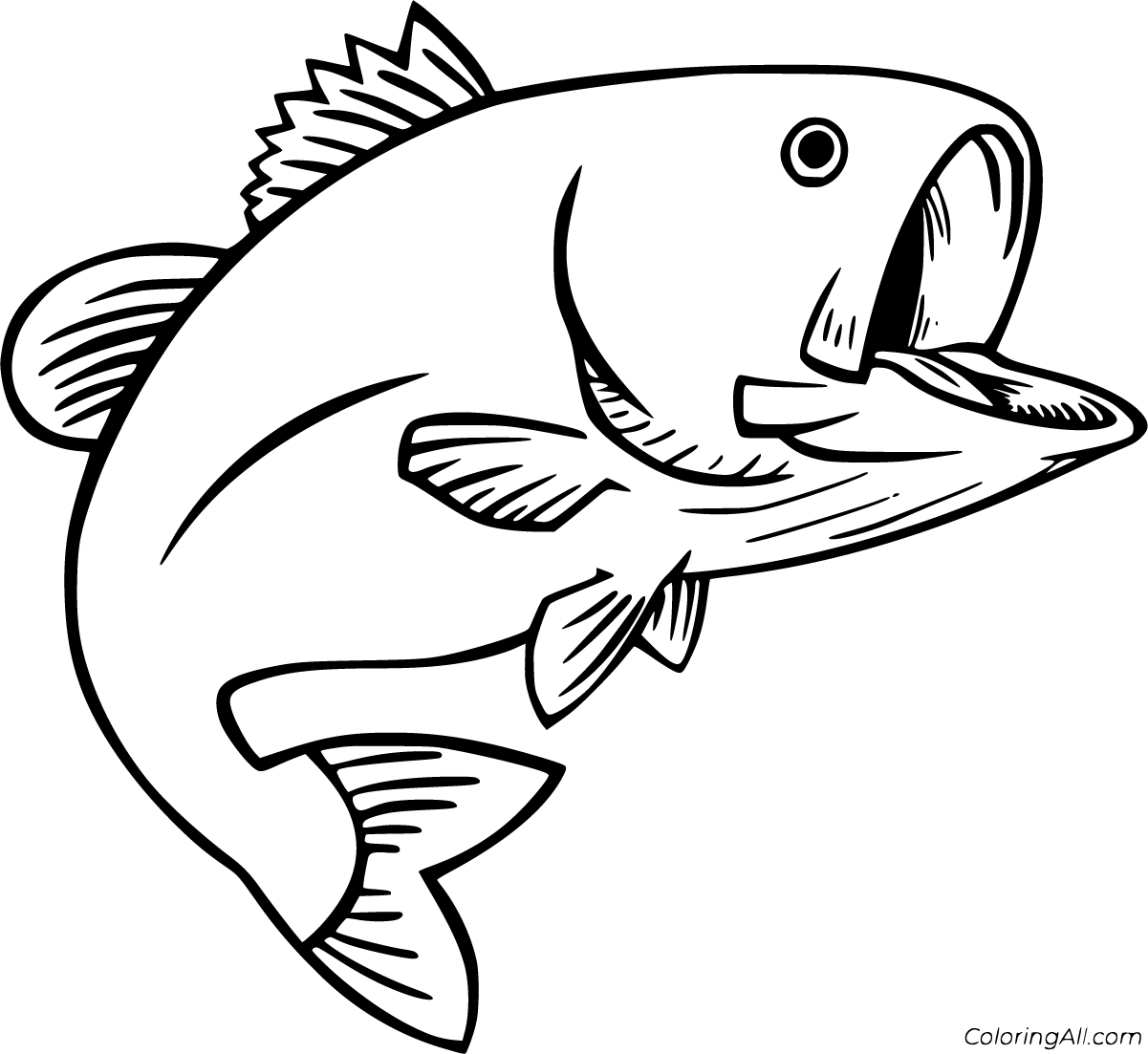 Bass Fishing Coloring Pages