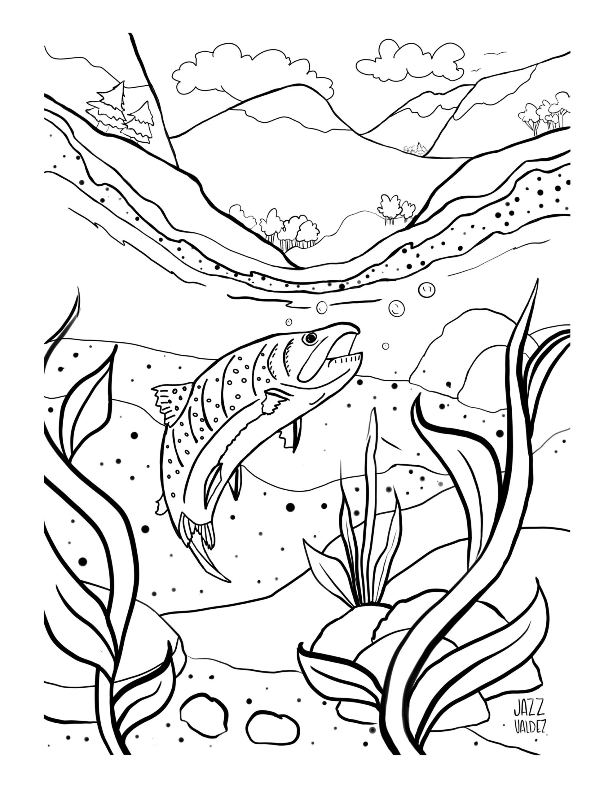 Bass Coloring Pages Etsy Sweden