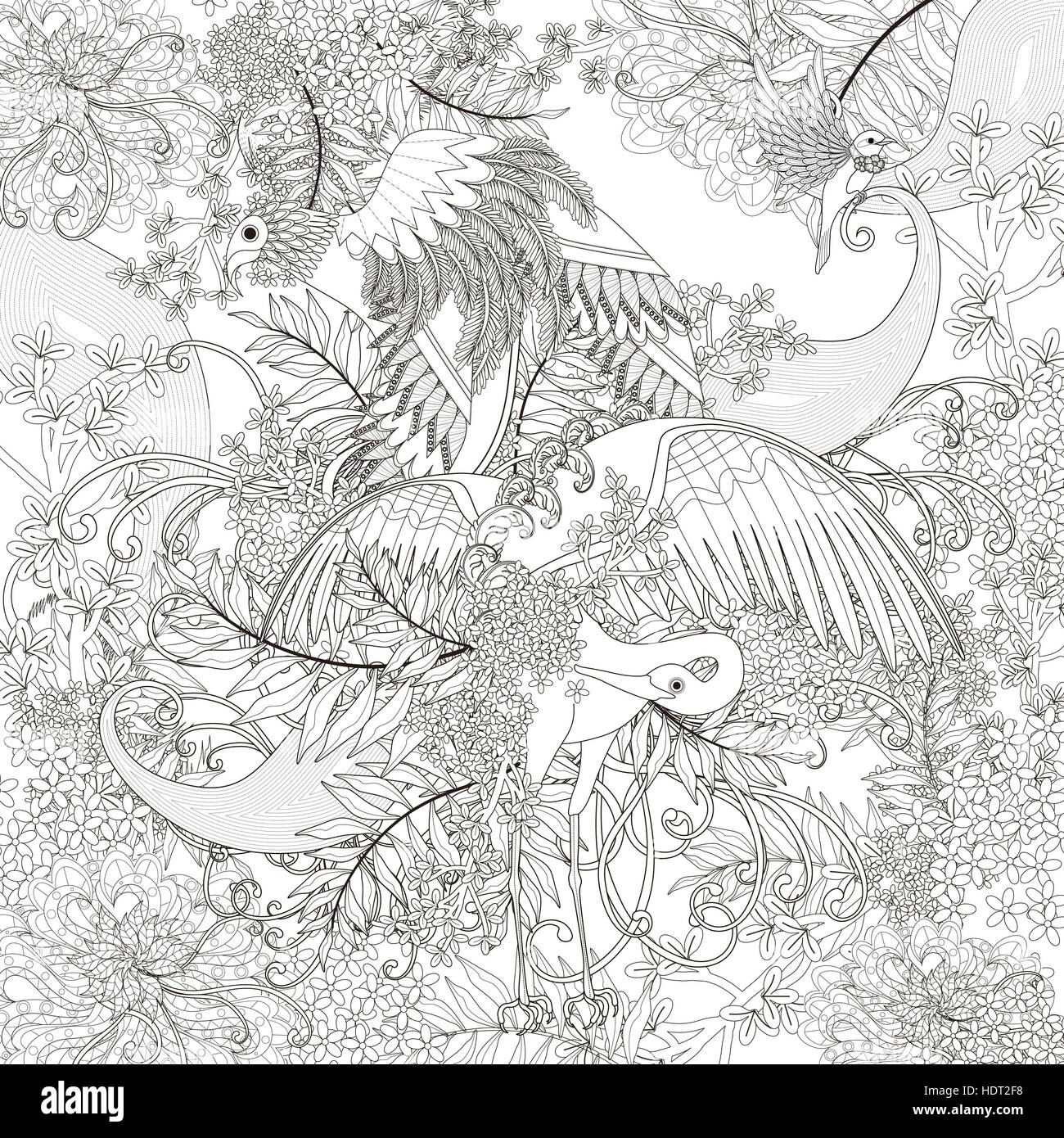 Beautiful Flying Bird Coloring Page With Floral Elements In Exquisite Line Stock Vector Image Art Alamy Beautiful Flying Bird Coloring Page With Floral Elements In Exquisite Line Stock Vector Image Art Alamy