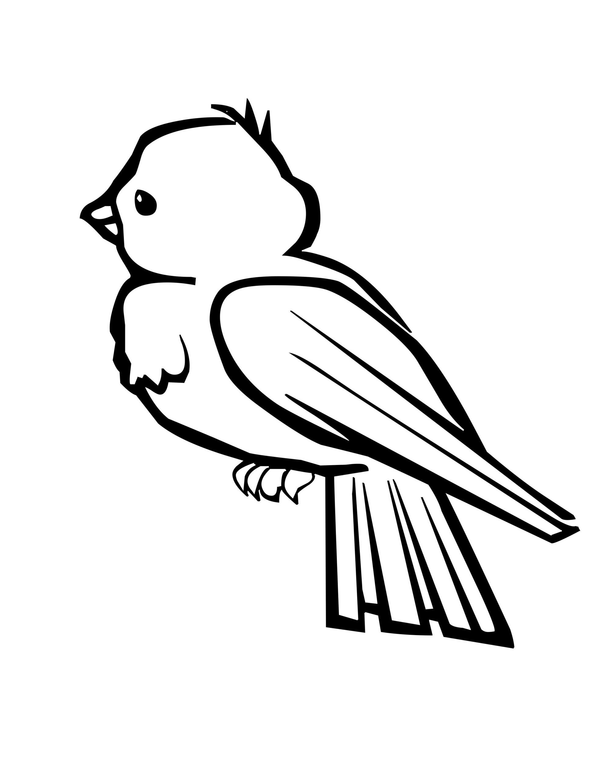 Baby Bird Coloring Pages For Kids Baby Bird Coloring Pages For Kids