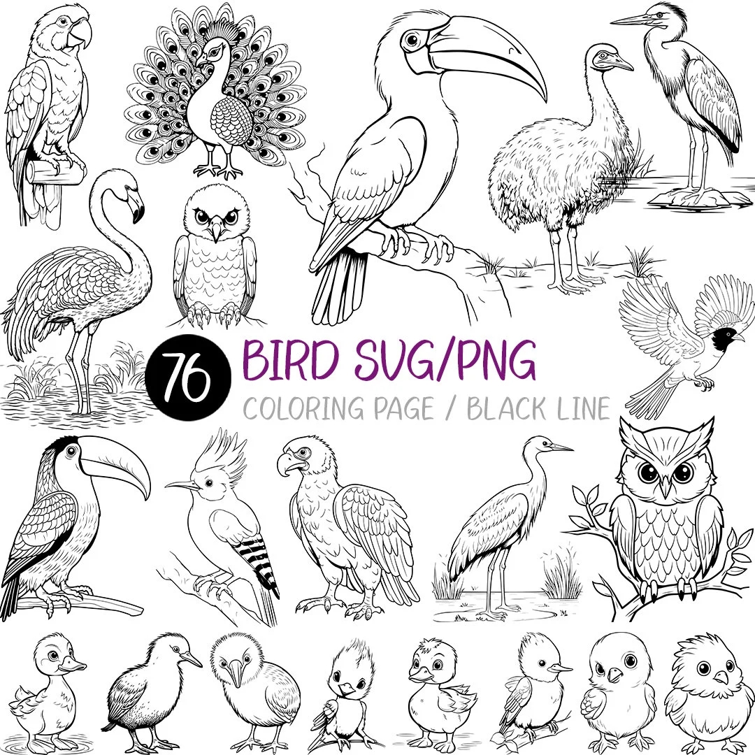 Advanced Bird Coloring Pages Advanced Bird Coloring Pages