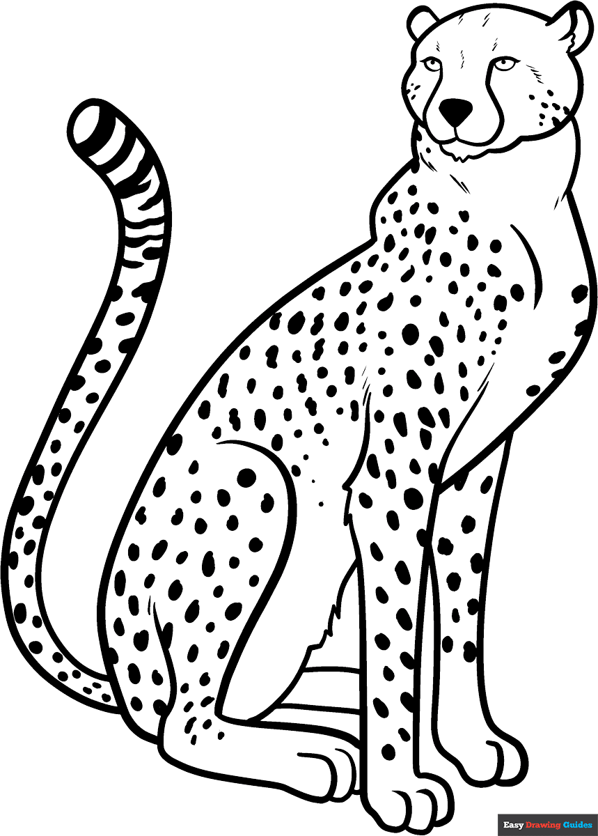 Cheetah Coloring Page Easy Drawing Guides