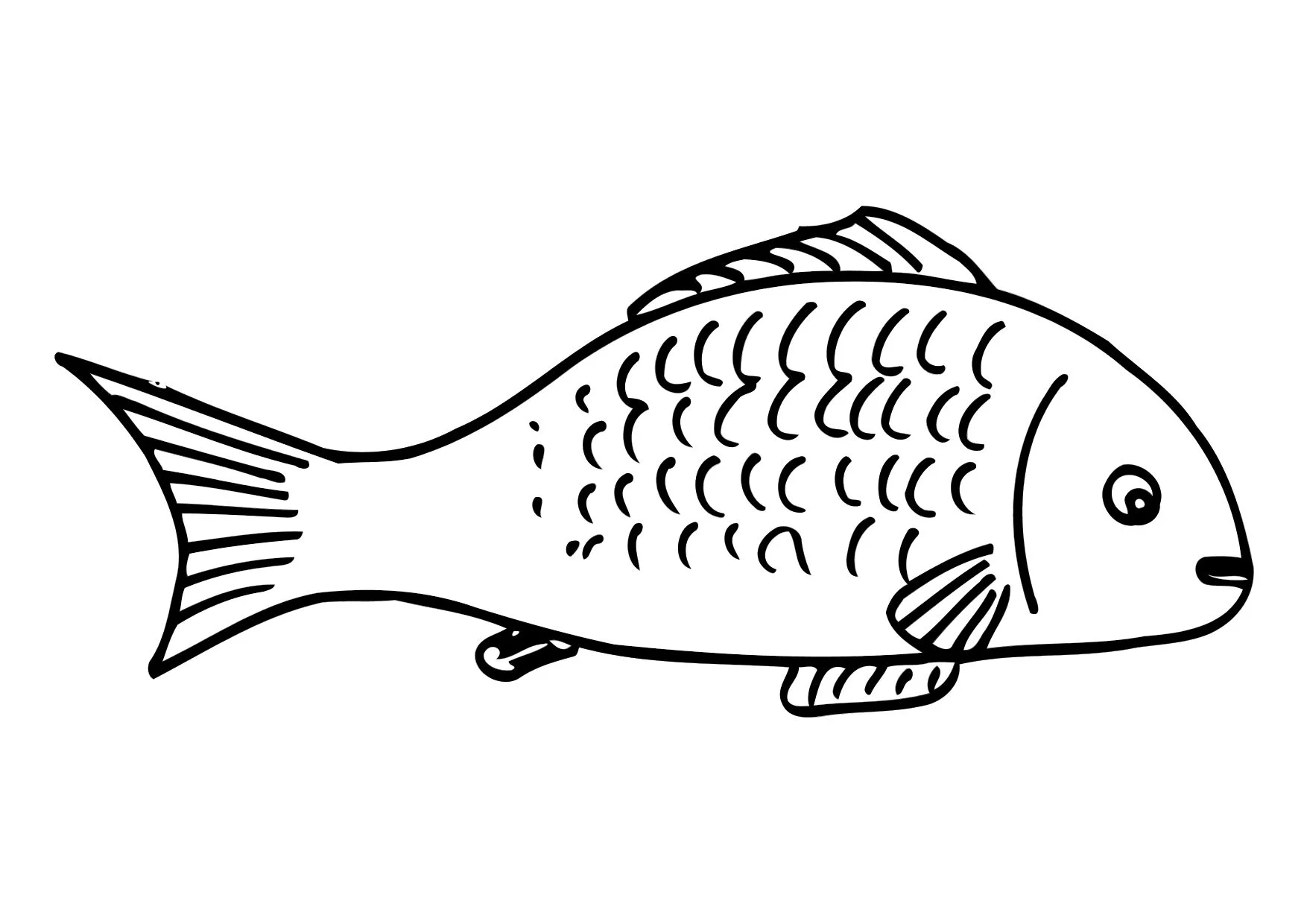 Coloring Page Fish Free Printables Img 12502 Coloring Page Fish Free Printables Img 12502