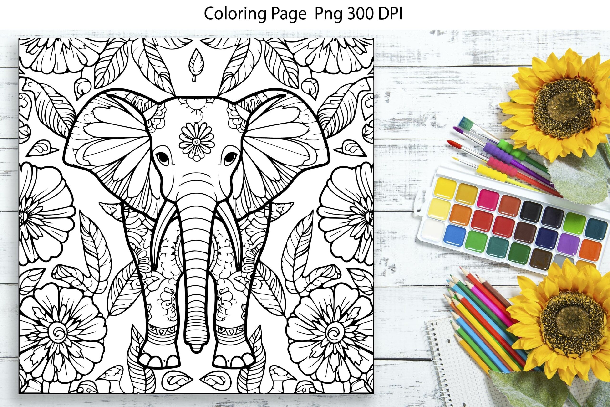 Coloring Page PNG Coloring Book Cute Elephant Drawing Coloring Page PNG Coloring Book Cute Elephant Drawing