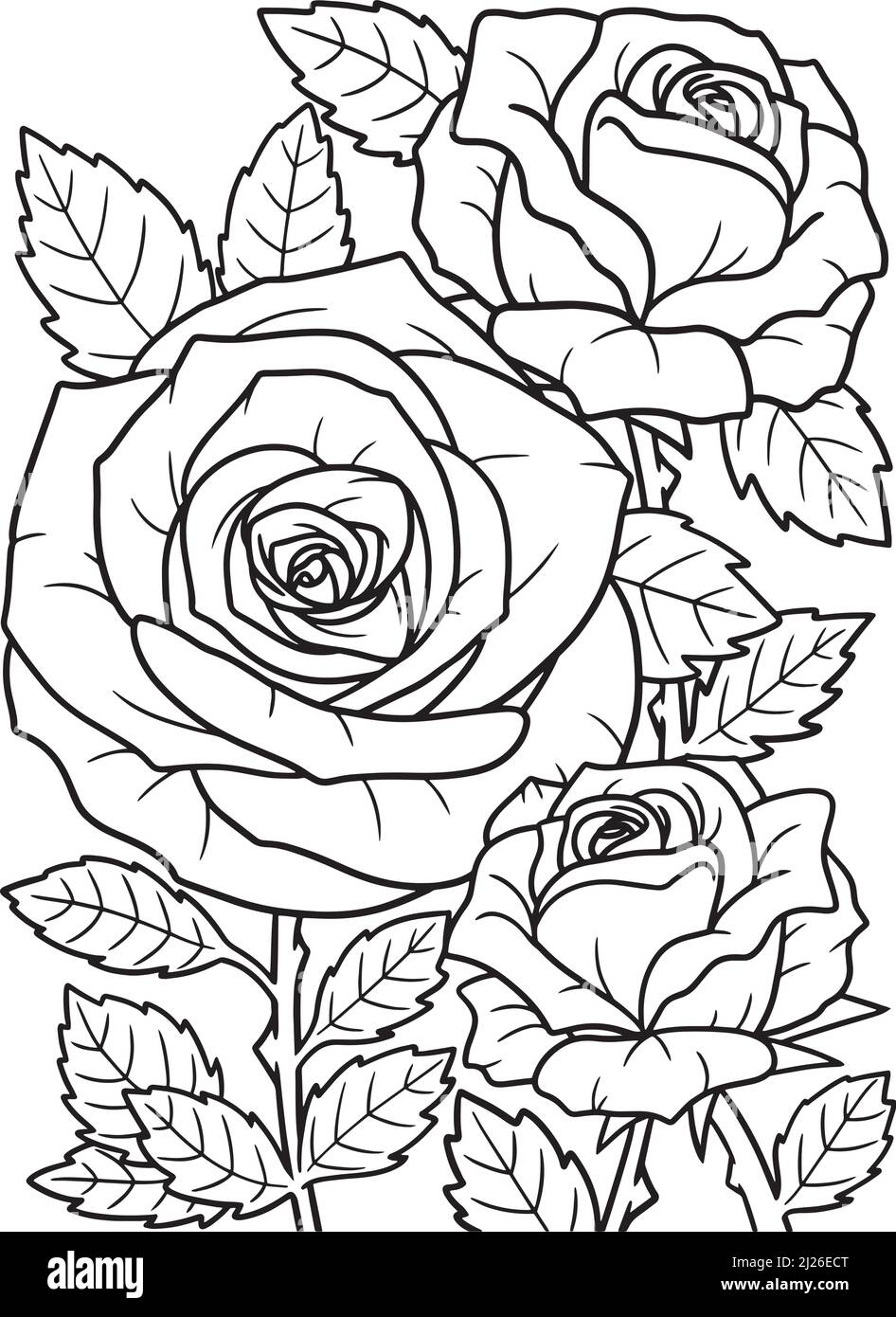 Coloring Page Rose Flower Cut Out Stock Images Pictures Alamy Coloring Page Rose Flower Cut Out Stock Images Pictures Alamy