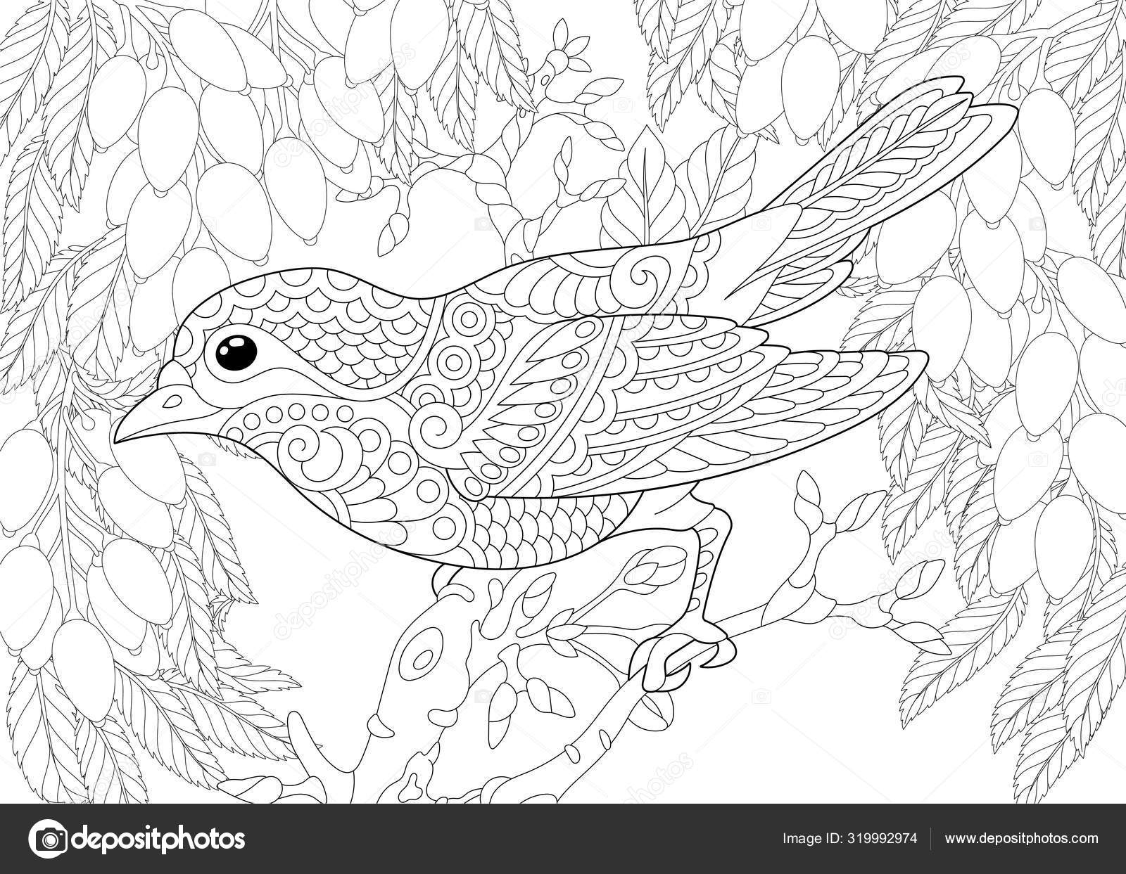 Coloring Page With Bird In The Garden Stock Vector By Sybirko 319992974 Coloring Page With Bird In The Garden Stock Vector By Sybirko 319992974
