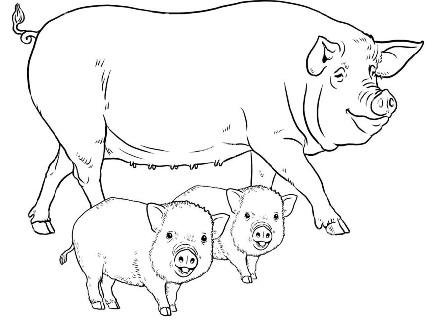 Coloring Page With The Animals Pig With Piglets For Coloring Digital Drawing Stock Photo Alamy