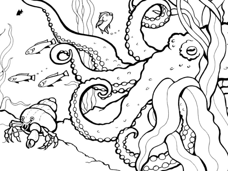 Coloring Pages Activities Monterey Bay Aquarium