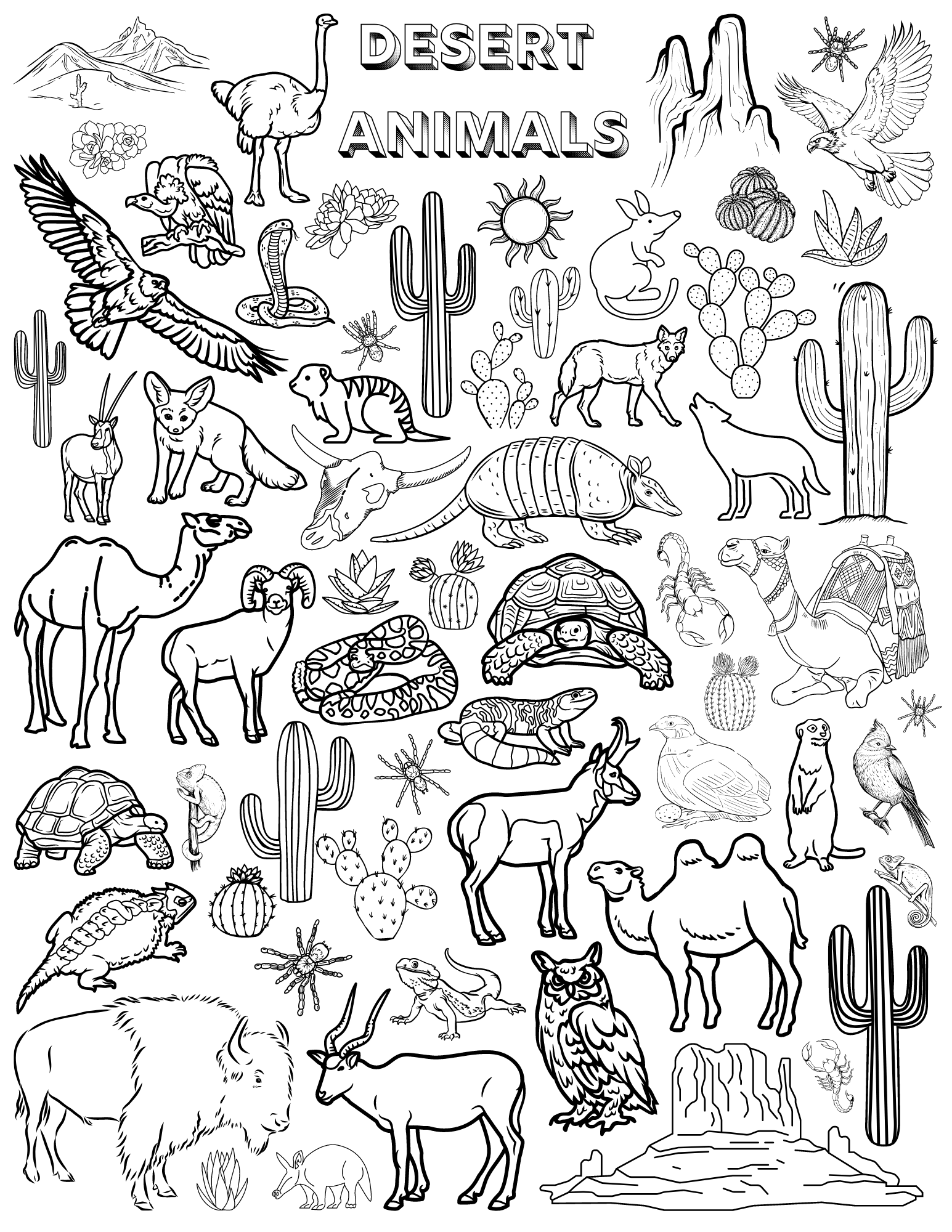 Coloring Pages For All Ages Kaylee Miller Coloring Pages For All Ages Kaylee Miller