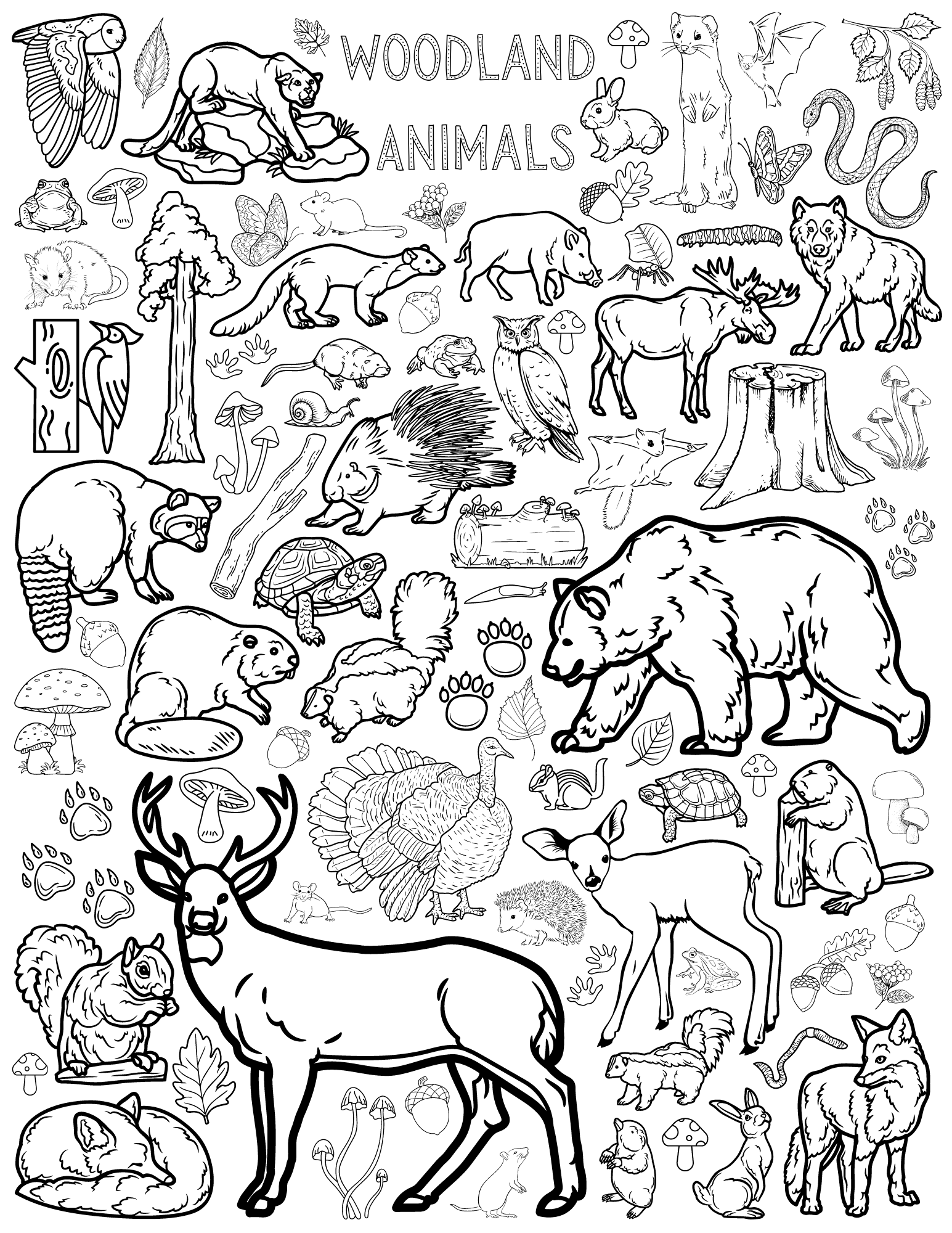 Coloring Pages For All Ages Kaylee Miller Coloring Pages For All Ages Kaylee Miller