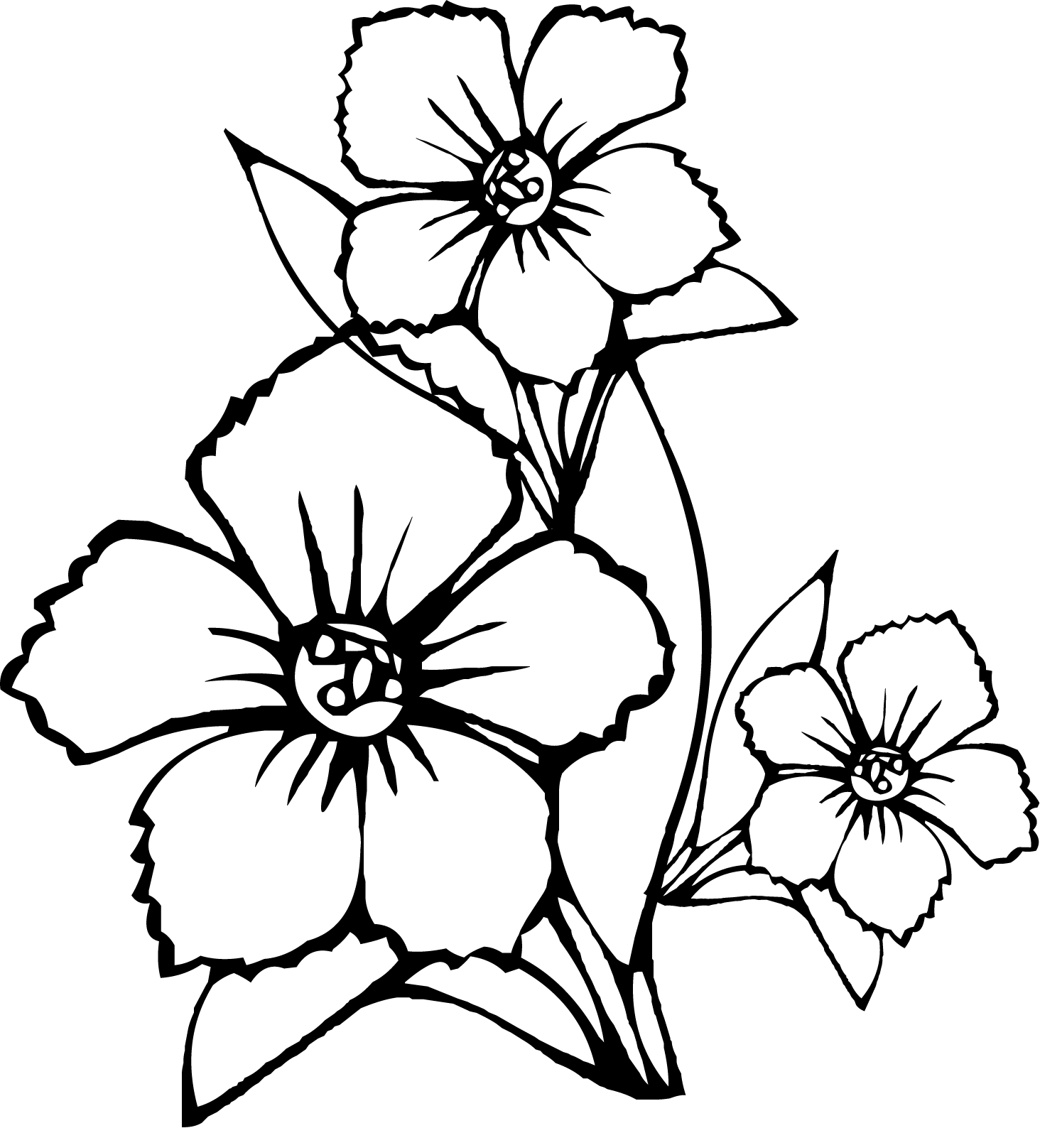 Coloring Pages Free Jasmine Flower Coloring Pages