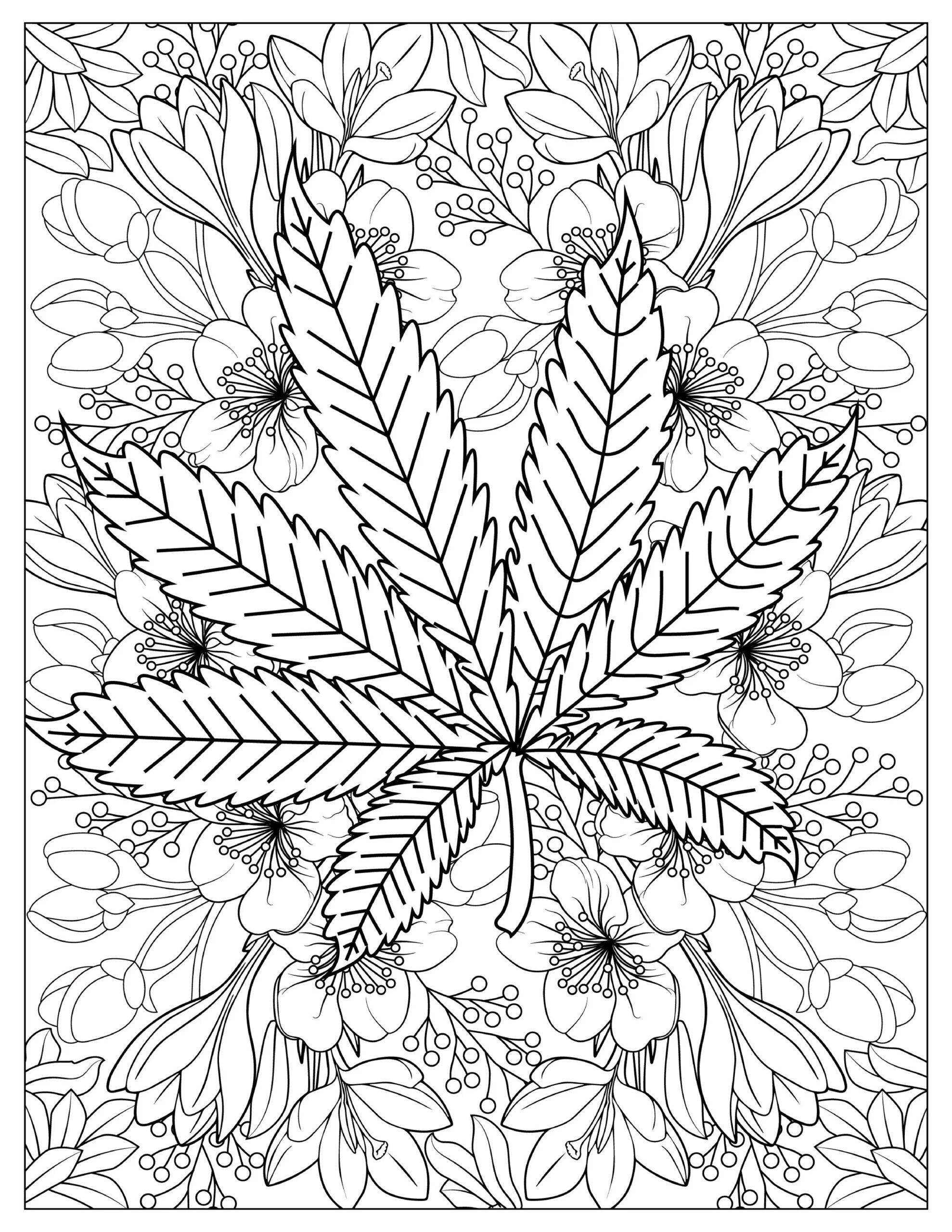 Coloring Pages Free Weed Books