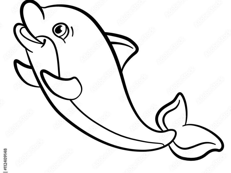 Coloring Pages Marine Wild Animals Little Cute Baby Dolphin Stock Vector Adobe Stock