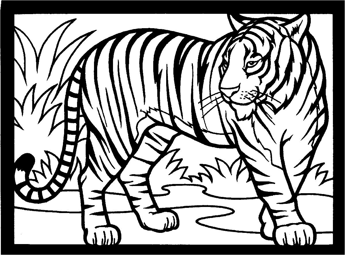Coloring Pages Out Of Africa Wildlife Park Sanctuary Coloring Pages Out Of Africa Wildlife Park Sanctuary