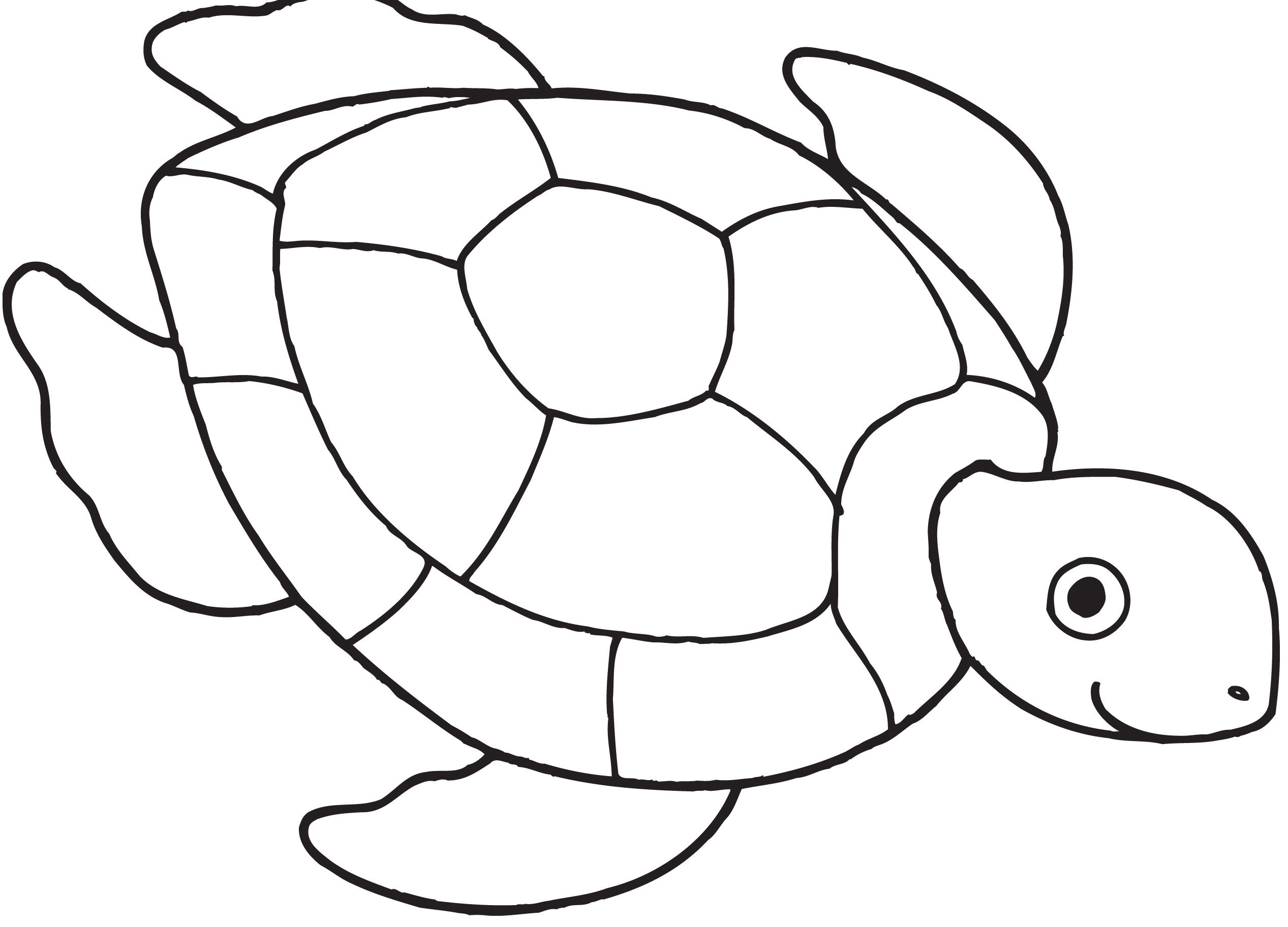 Free Printable Turtle Coloring Pages
