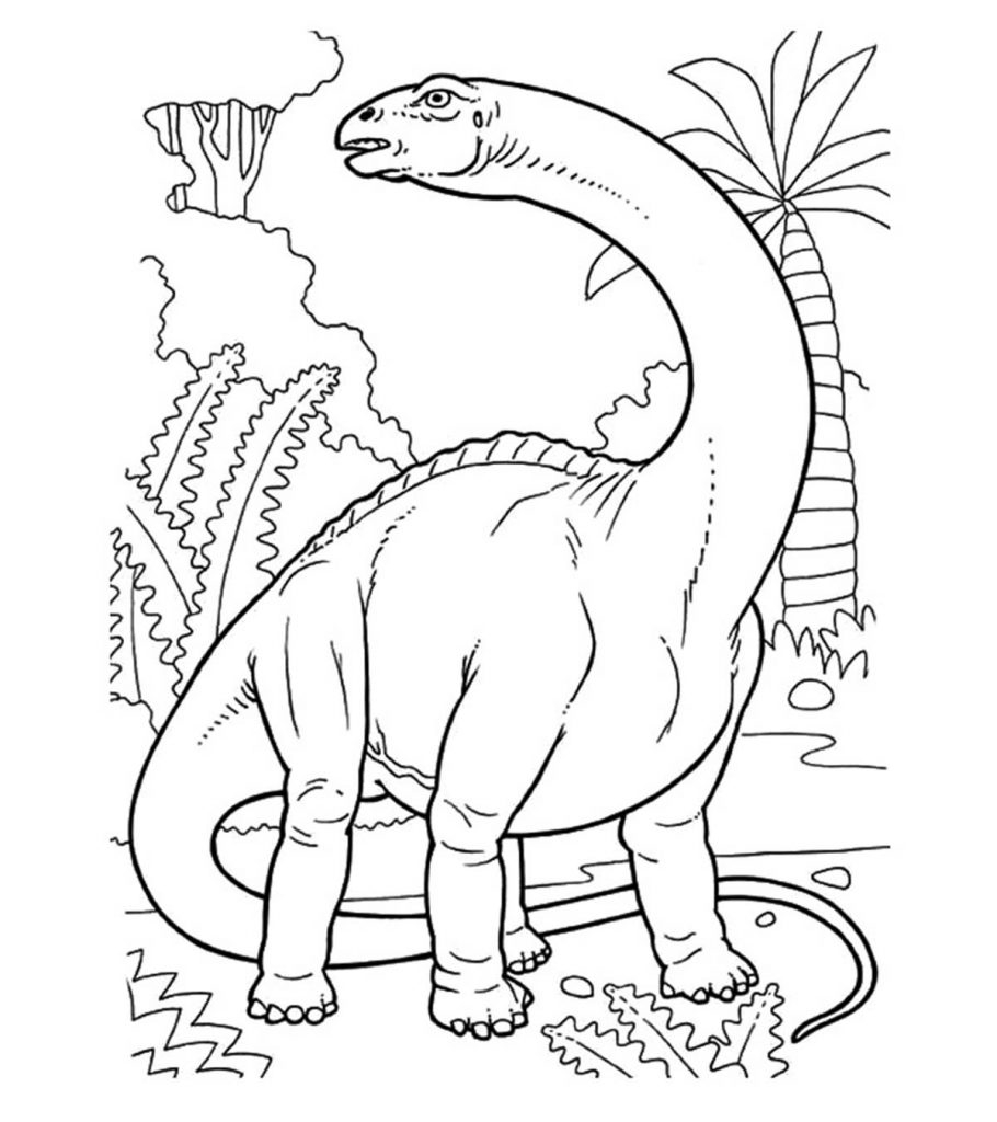 Dinosaur Activity Coloring Pages Dinosaur Activity Coloring Pages