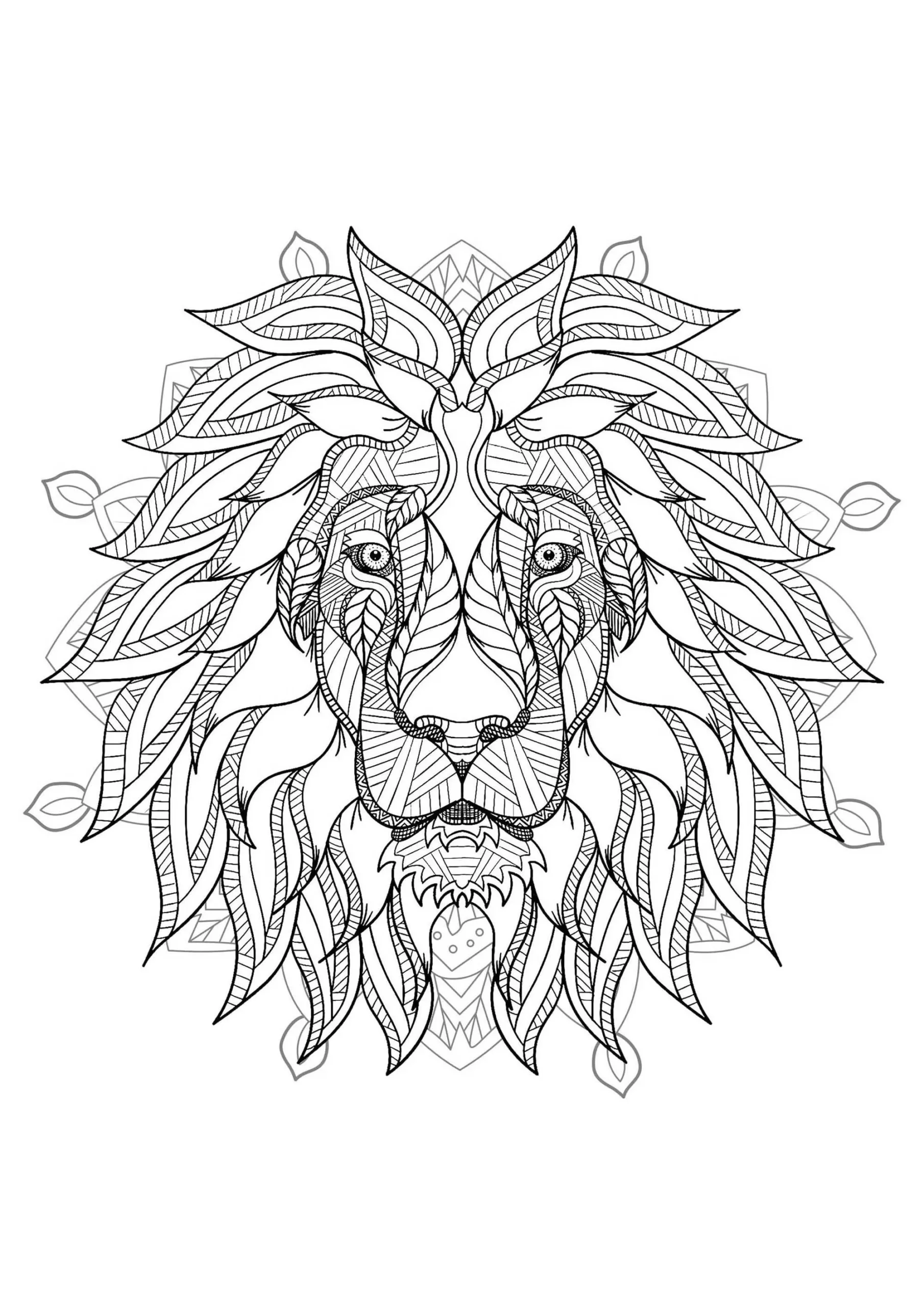 Complex Mandala Coloring Page With Majestic Lion Head 2 Difficult Mandalas for Adults 