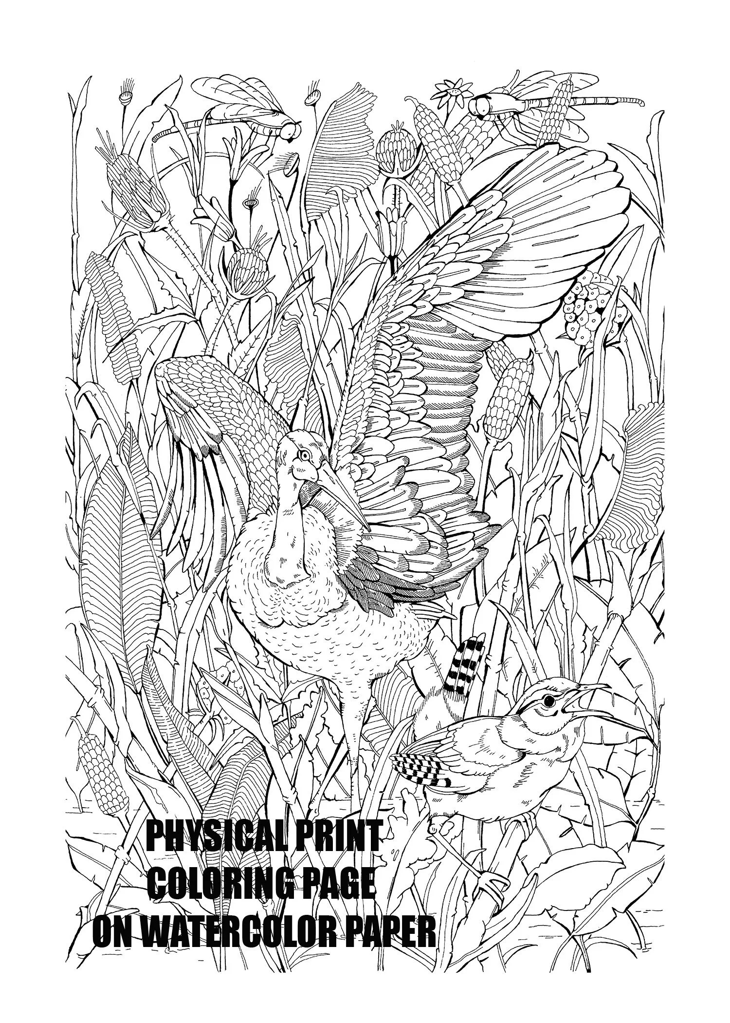 Crane Bird Coloring Page Physical Print On Watercolor Paper Adult Coloring Page Watercolor DIY Artwork Crane Bird Coloring Page Etsy Crane Bird Coloring Page Physical Print On Watercolor Paper Adult Coloring Page Watercolor DIY Artwork Crane Bird Coloring Page Etsy