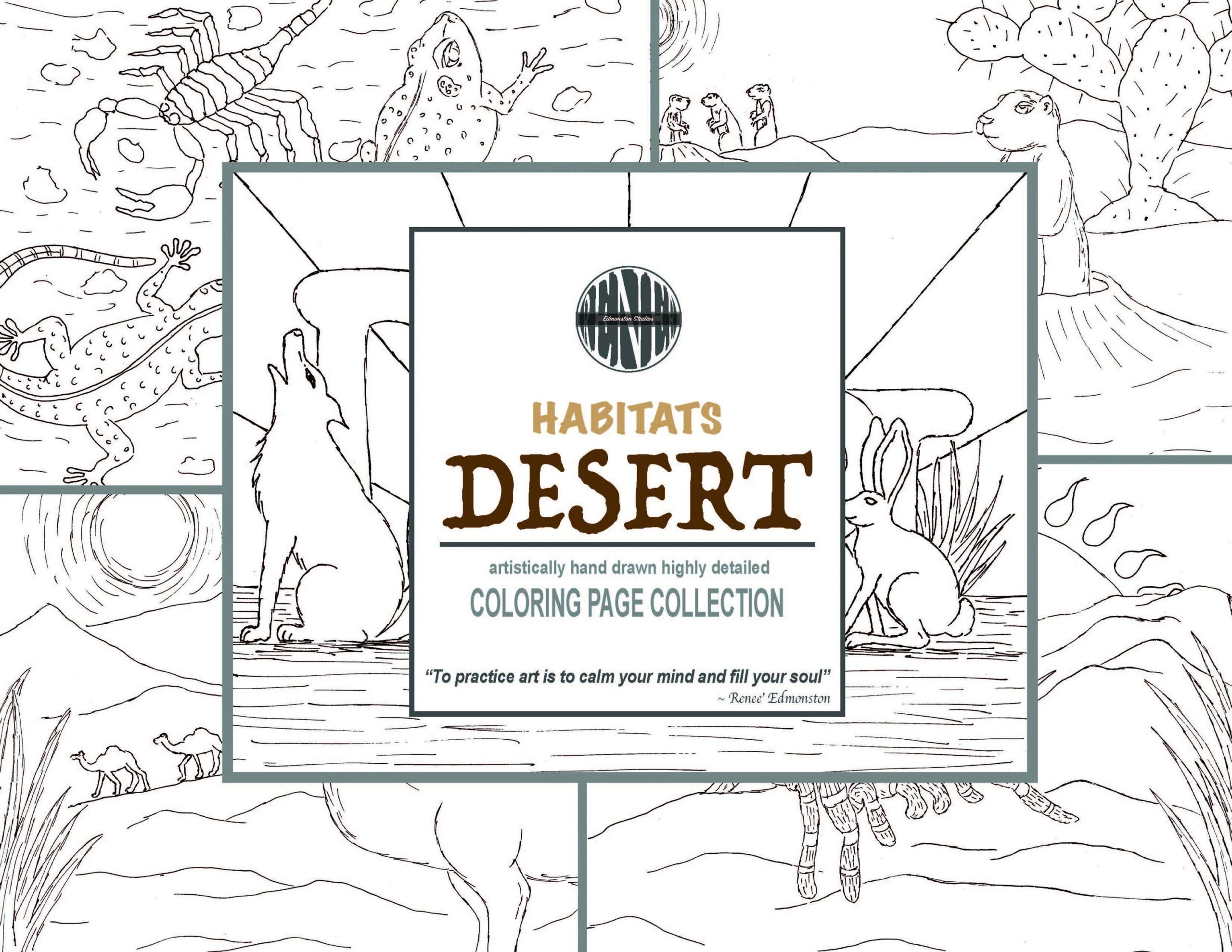DESERT HABITAT Coloring Pages 5 Coloring Sheets Printable Hand Illustrated Instant Download Etsy