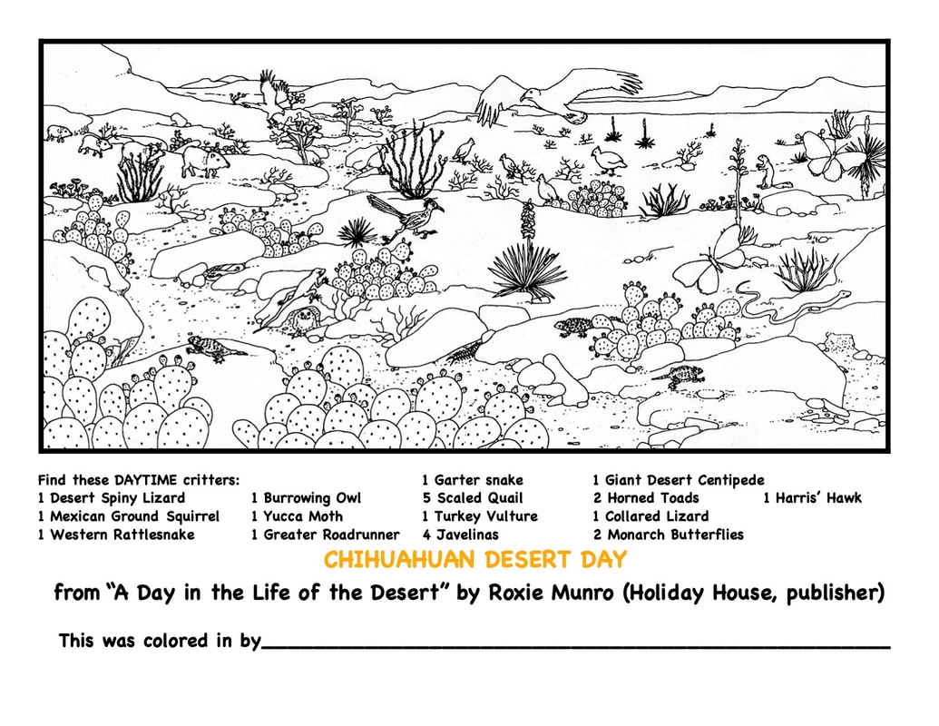 Desert Ecosystem Coloring Pages