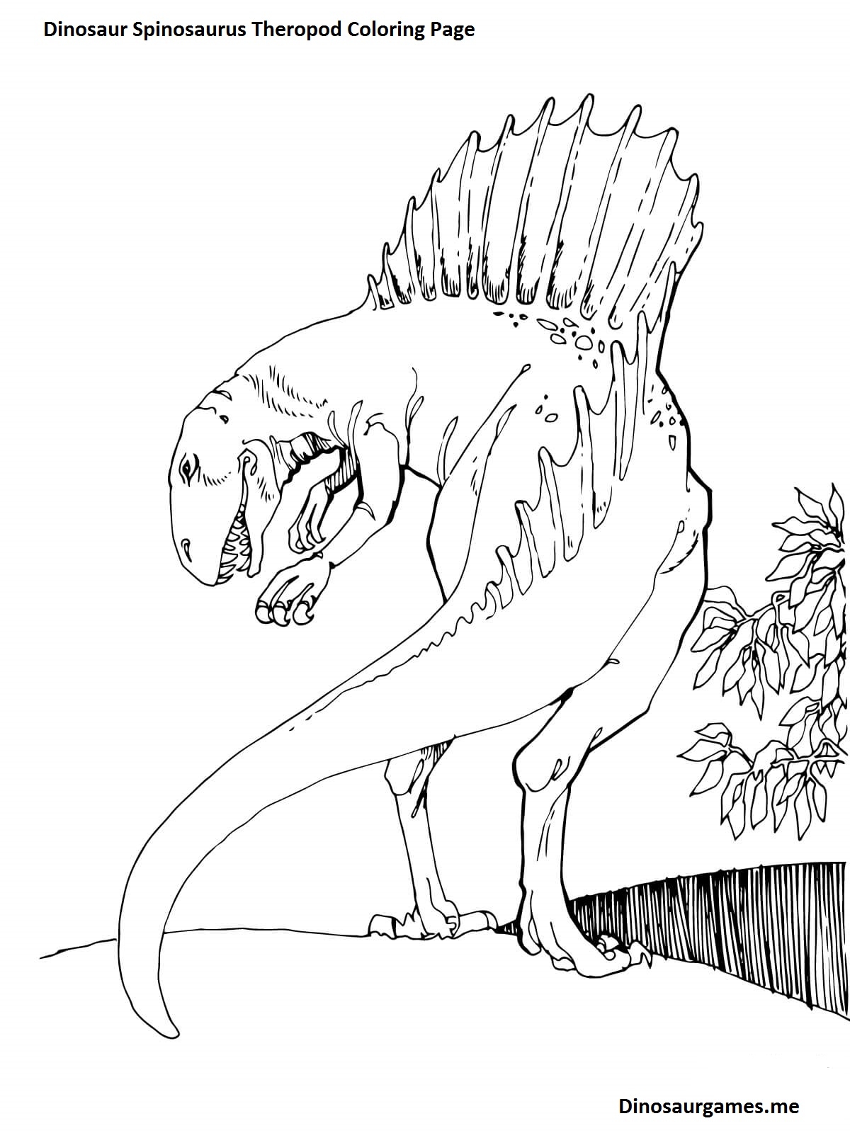 Realistic Spinosaurus Dinosaur Coloring Pages