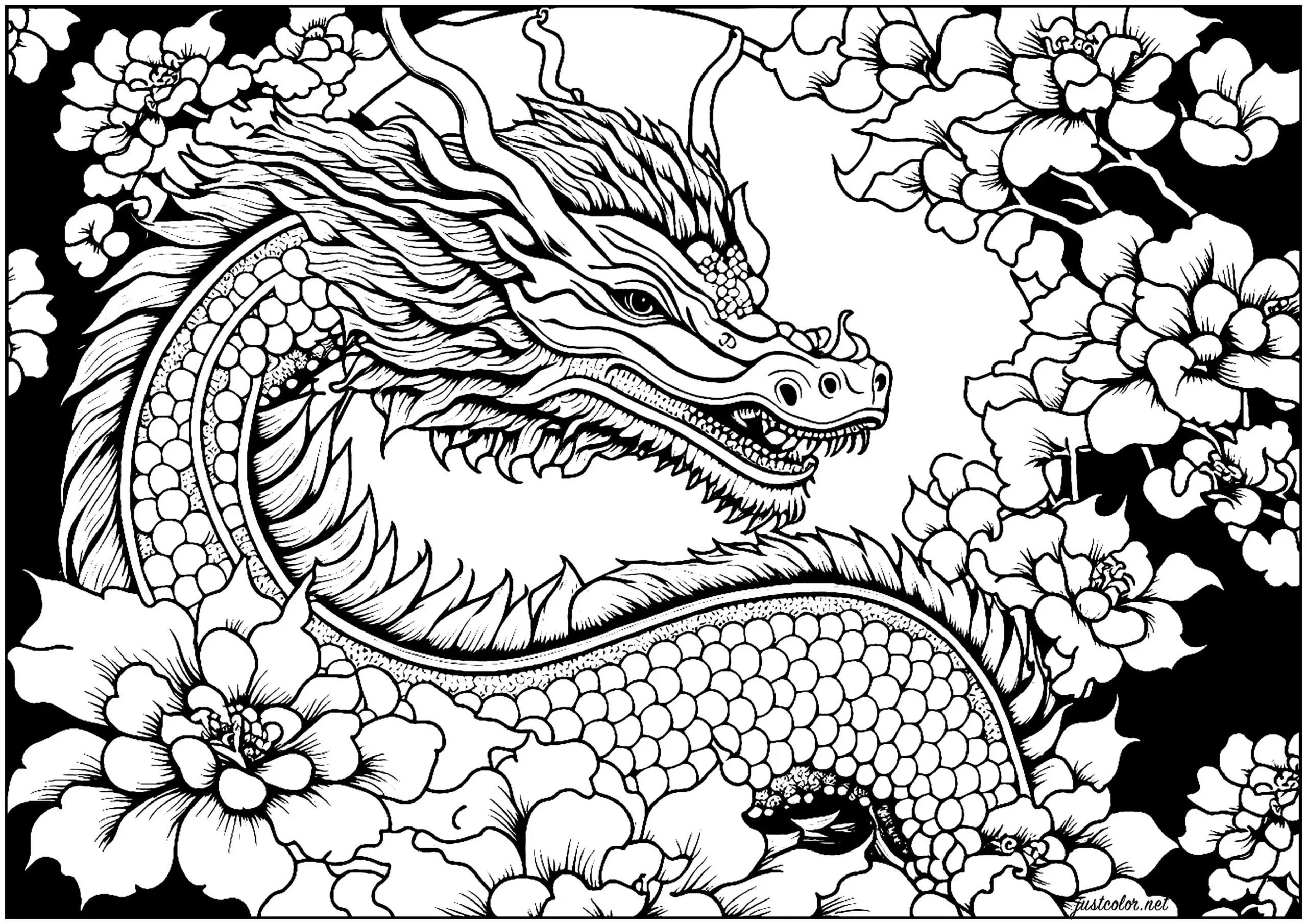 Dragon And Flowers Dragon Coloring Pages For Adults Dragon And Flowers Dragon Coloring Pages For Adults