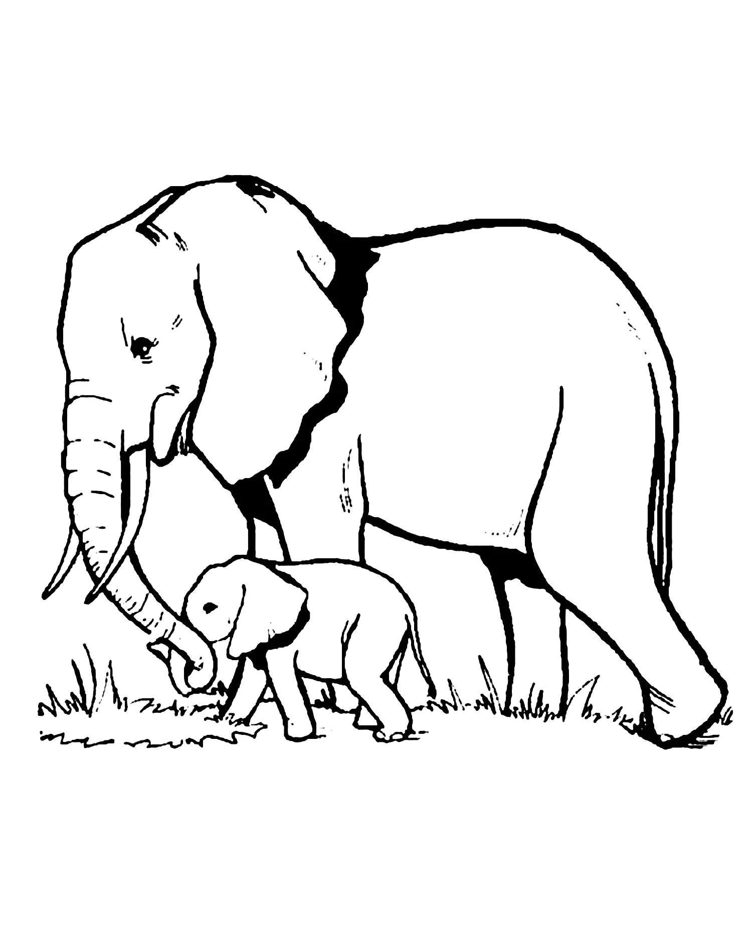 Standing Elephant Coloring Pages For Kids Standing Elephant Coloring Pages For Kids