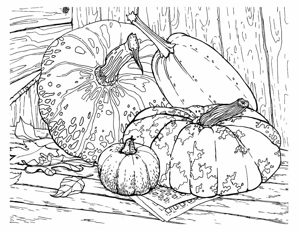 Fall Coloring Pages 10 Fun Free Printable Autumn Coloring Pages For Kids Adults Printables 30Seconds Mom Fall Coloring Pages 10 Fun Free Printable Autumn Coloring Pages For Kids Adults Printables 30Seconds Mom