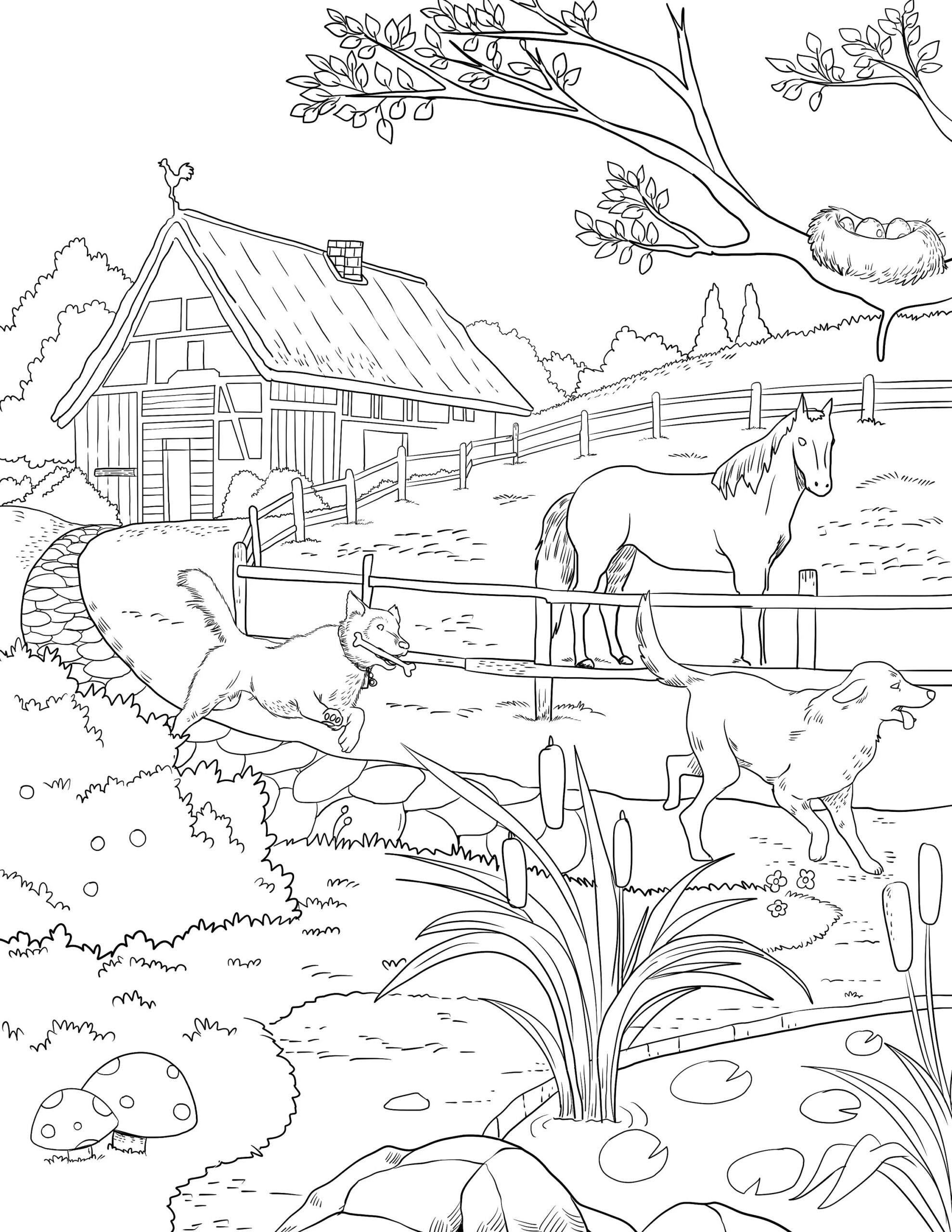 Farm Dog Printable Adult Coloring Page From Manila Shine coloring Book Pages For Adults And Kids Coloring Sheets Coloring Designs Etsy Farm Dog Printable Adult Coloring Page From Manila Shine coloring Book Pages For Adults And Kids Coloring Sheets Coloring Designs Etsy