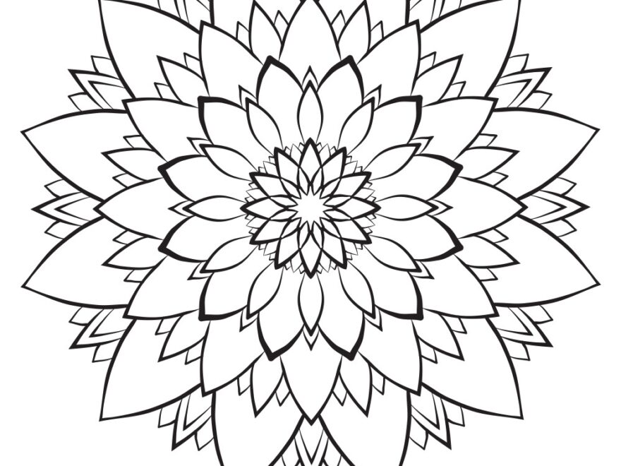 Flower Mandala Coloring Page Simple Symmetric Vector Image