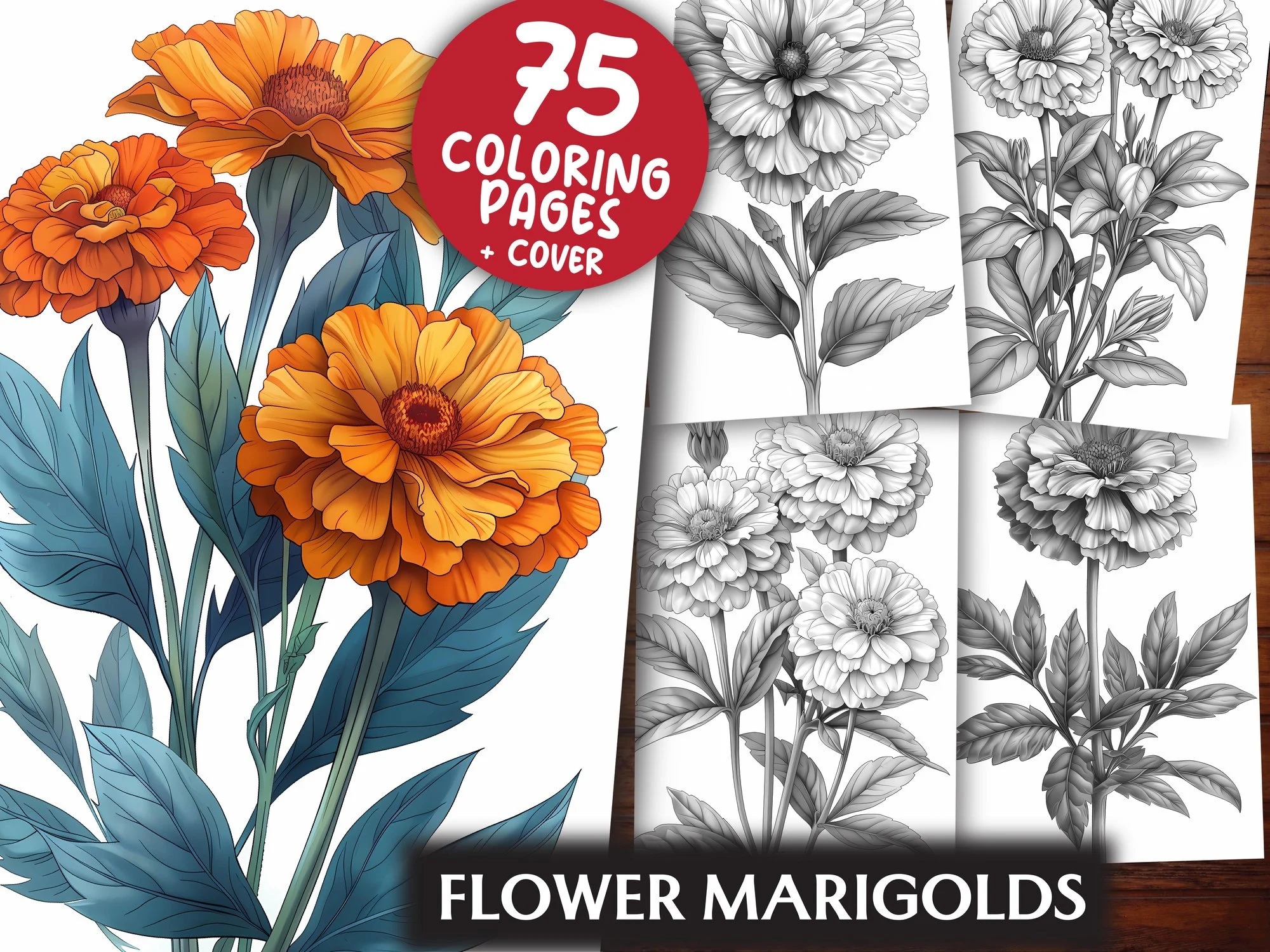 Flower Marigolds Coloring Pages 75 Grayscale Light Printable Pdfs Floral Colouring Book Digital Download Flower Coloring Book Kit Etsy Flower Marigolds Coloring Pages 75 Grayscale Light Printable Pdfs Floral Colouring Book Digital Download Flower Coloring Book Kit Etsy