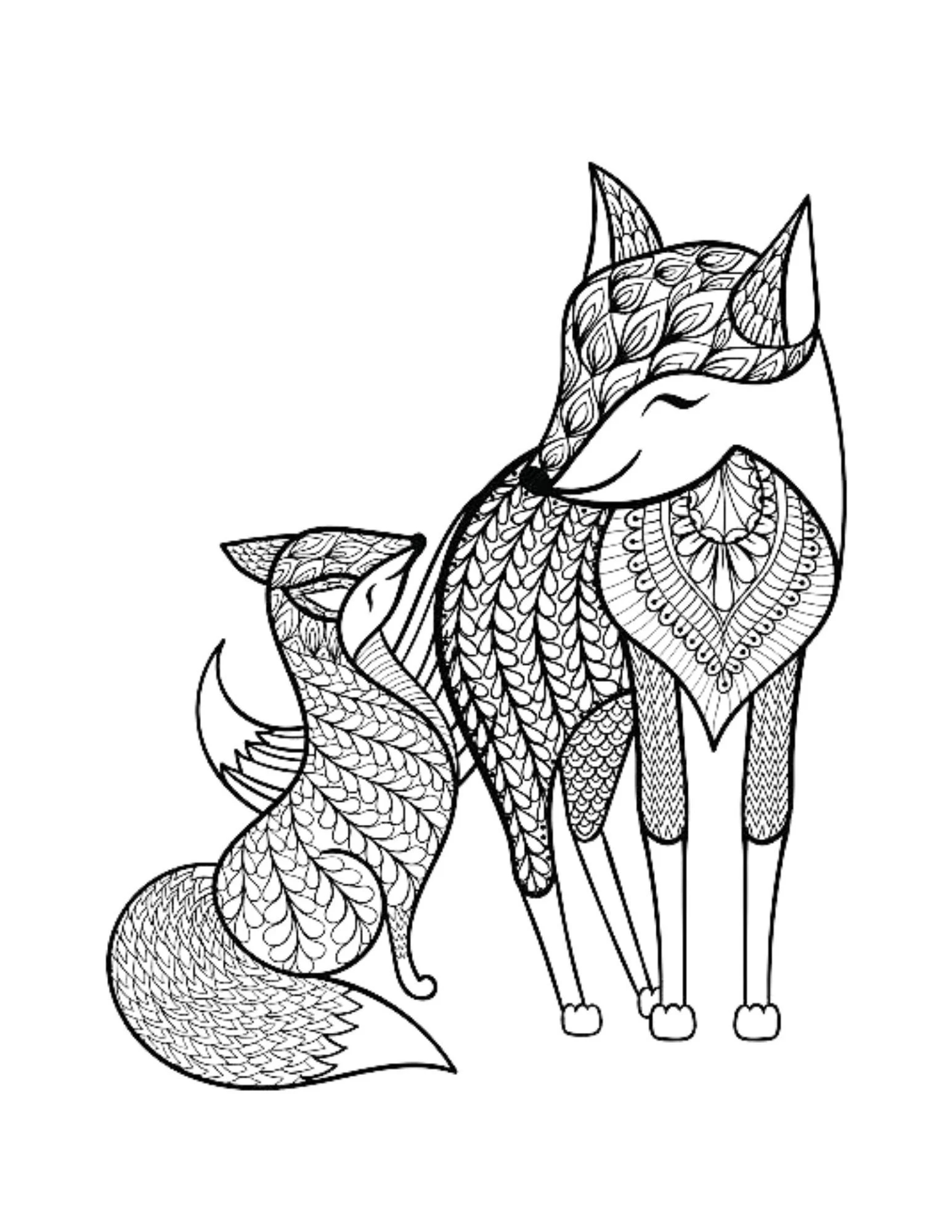 Fox Mandala Coloring Page Color Family Animals Draw Drawing Paper Digital File Download Adult Kids Education Art Project School Work Etsy