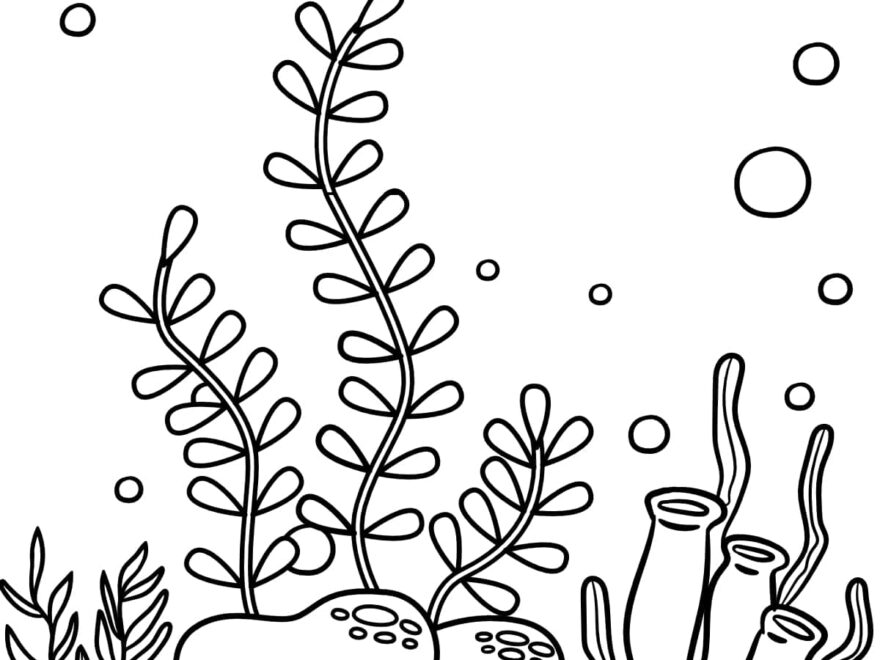 Free Algae Coloring Pages Aquatic Plant PDFs Artsy Pretty Colors