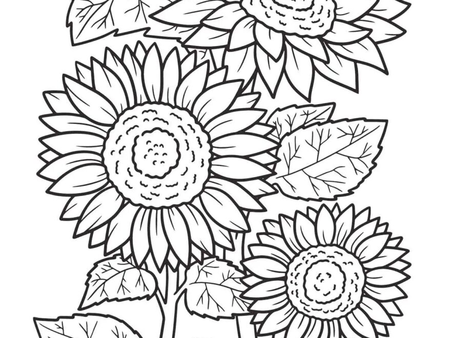 FREE Flower Coloring Pages For Kids And Adults Skip To My Lou