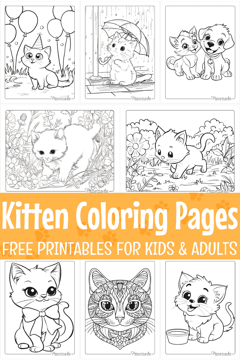 Free Kitten Coloring Pages For Kids Adults PDF Printables Free Kitten Coloring Pages For Kids Adults PDF Printables