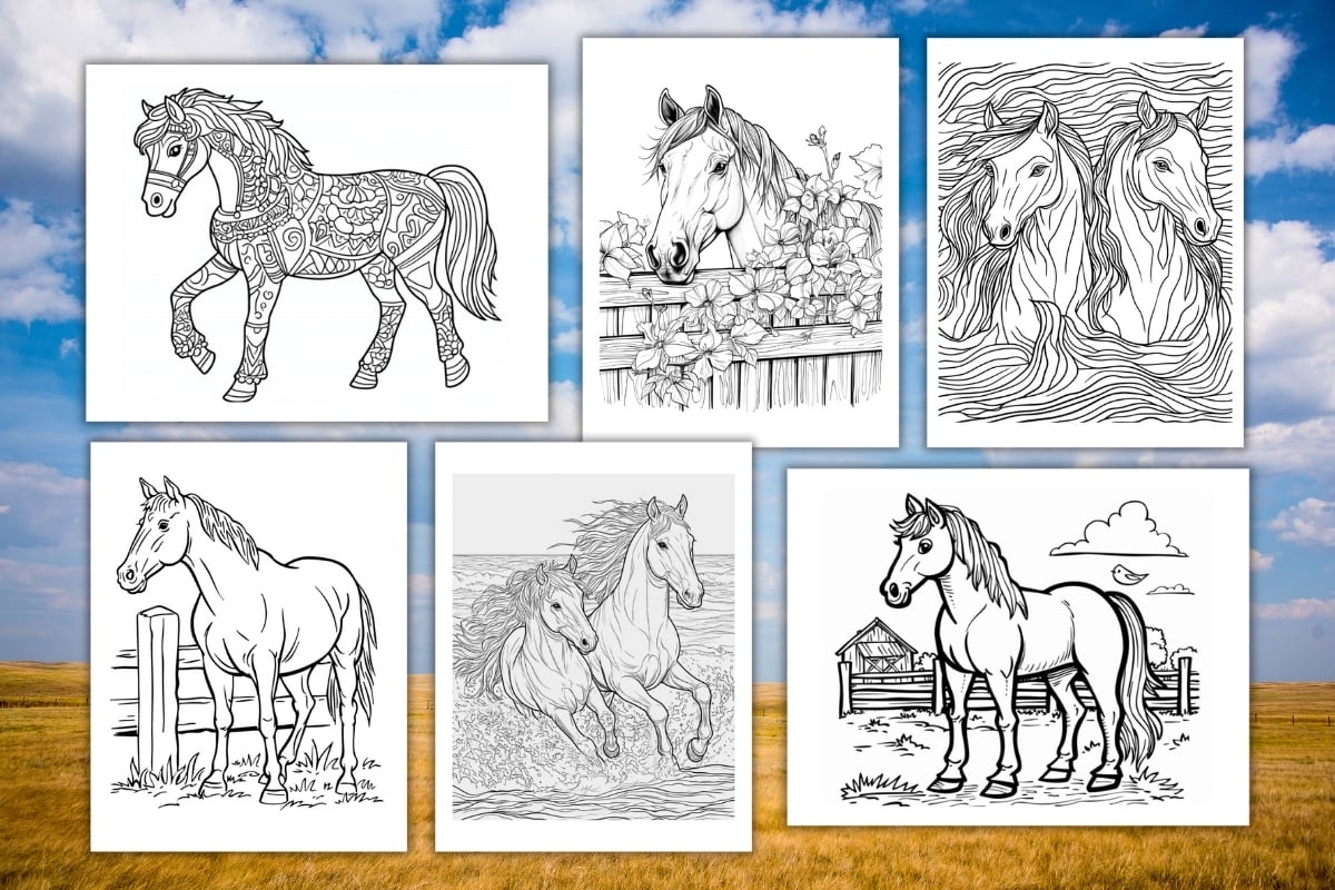 Free Printable Horse Coloring Pages Free Printable Horse Coloring Pages